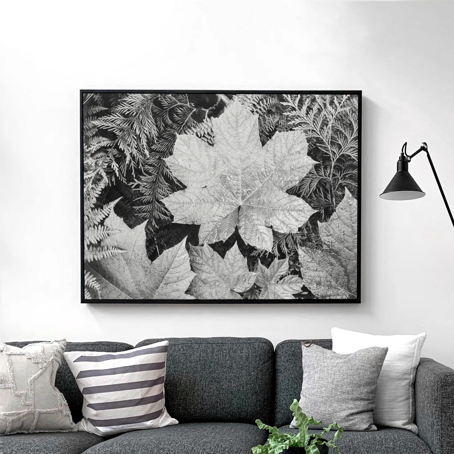 Glacier National Park Montana Leaves by Ansel Adams - Image 2