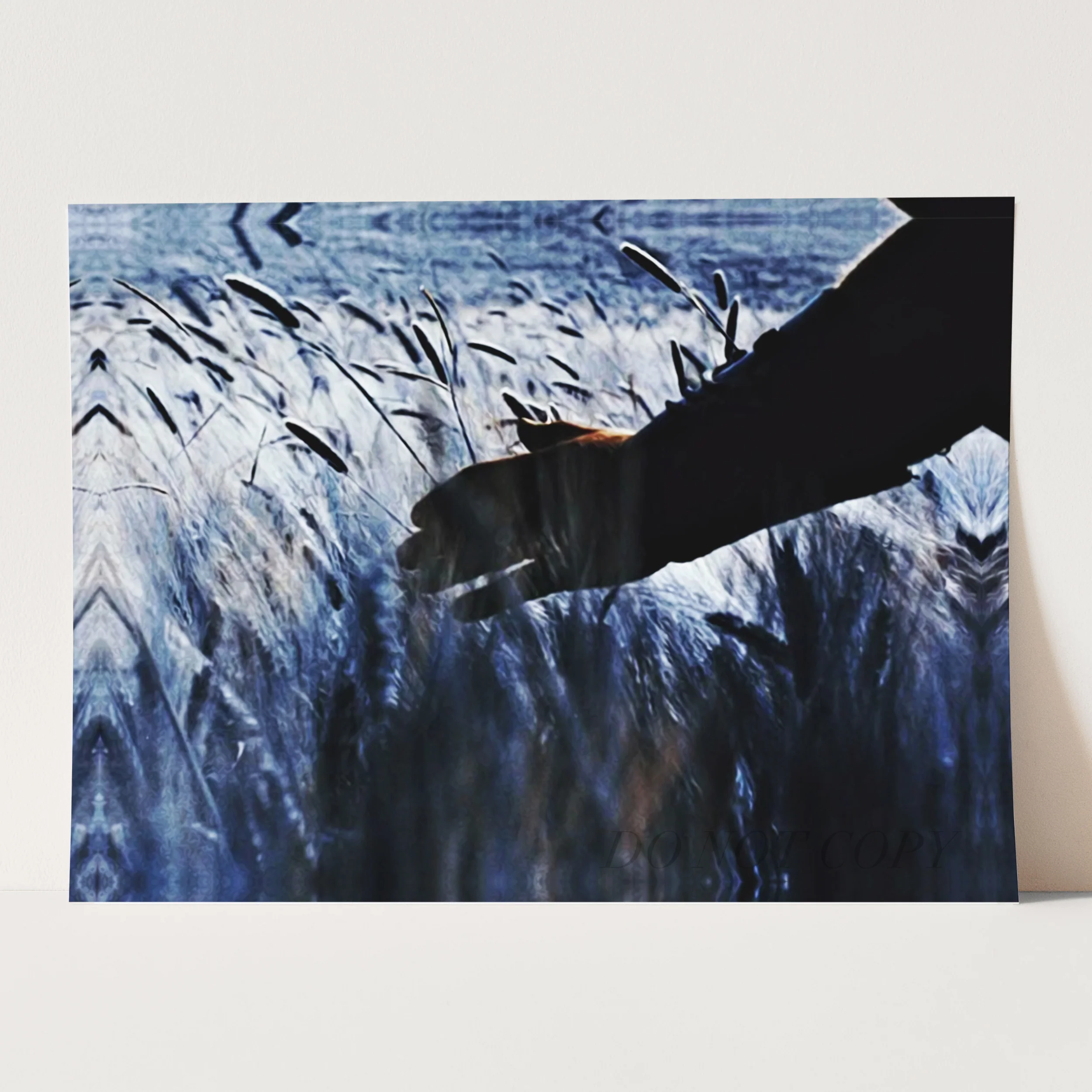Gladiator Wheat Fields of Elysium - Image 3