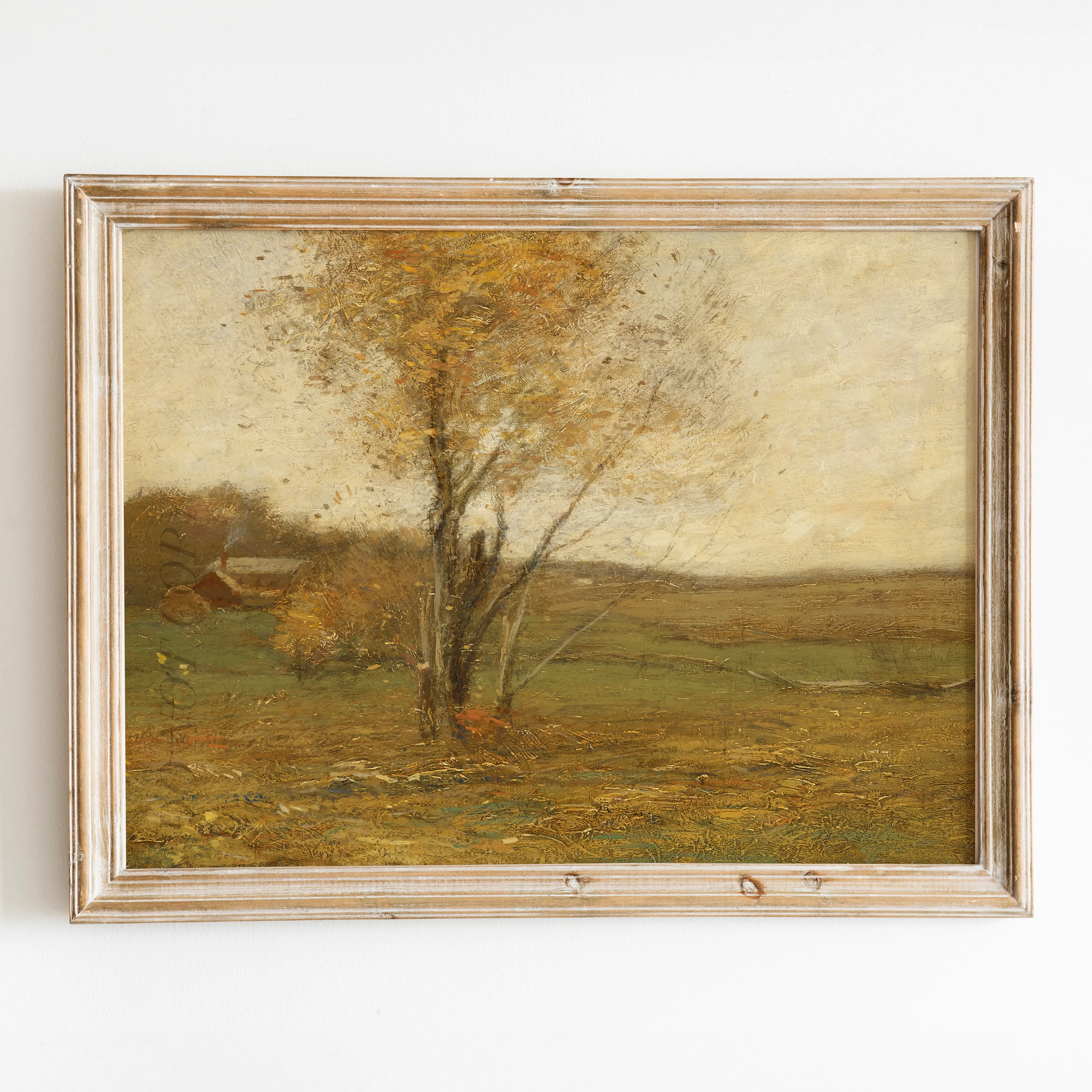 Golden Fields