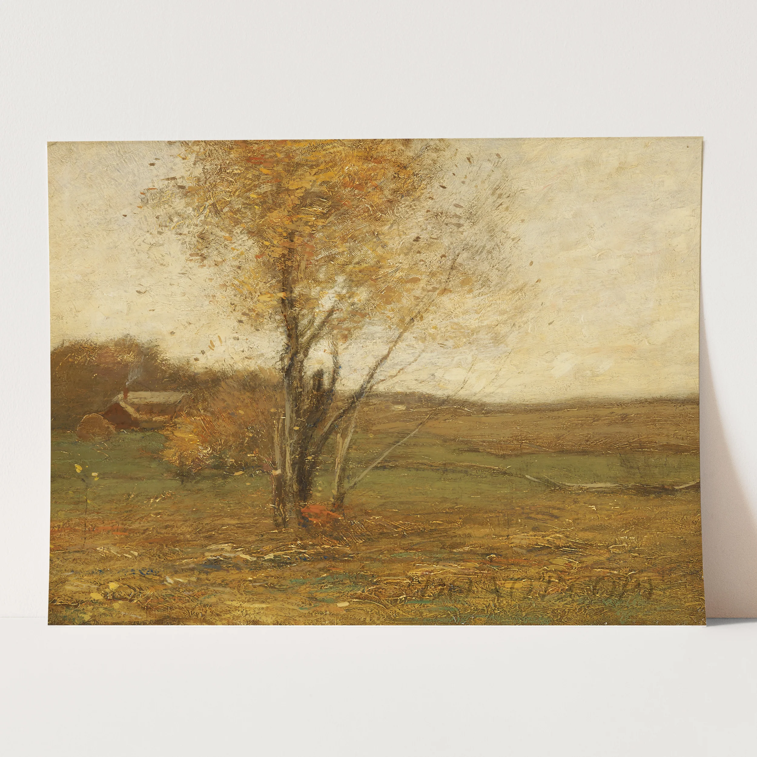 Golden Fields - Image 3
