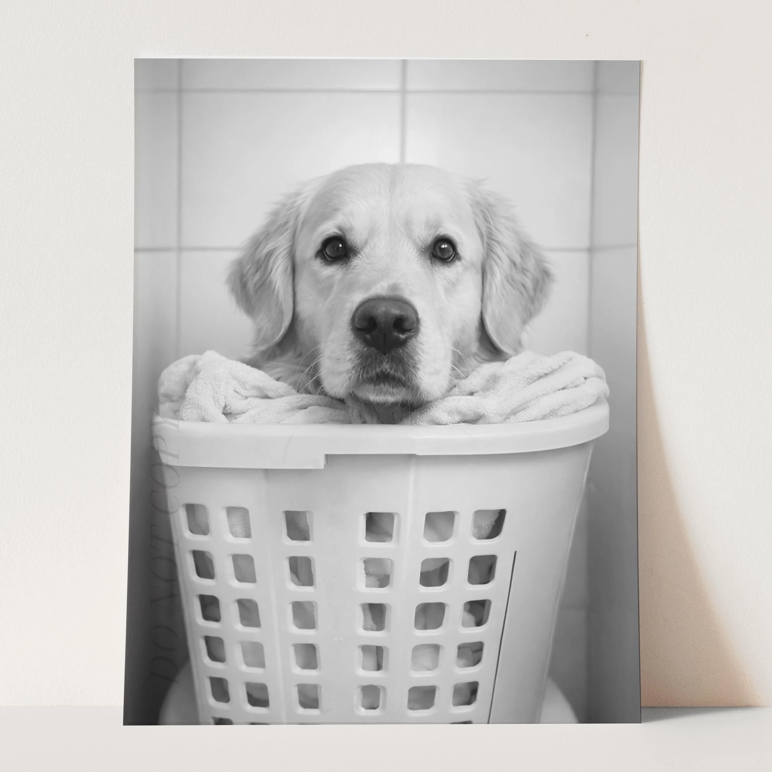 Golden Retriever Dog Laundry - Image 3