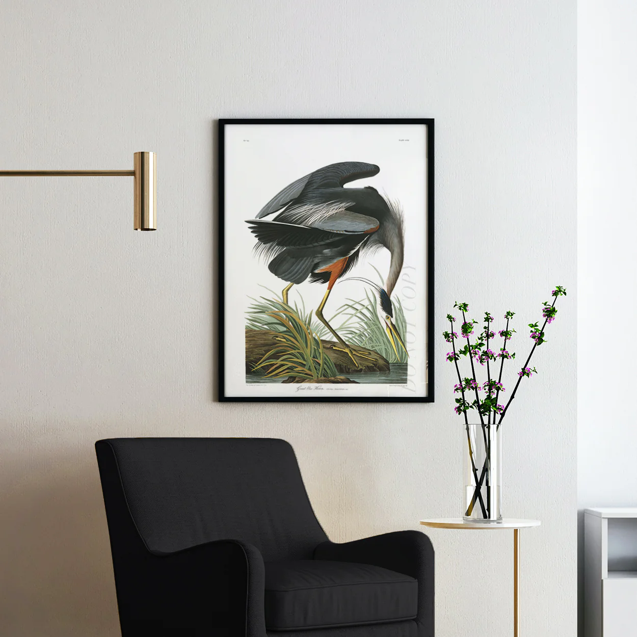 Great Blue Heron - Birds of America - Image 2