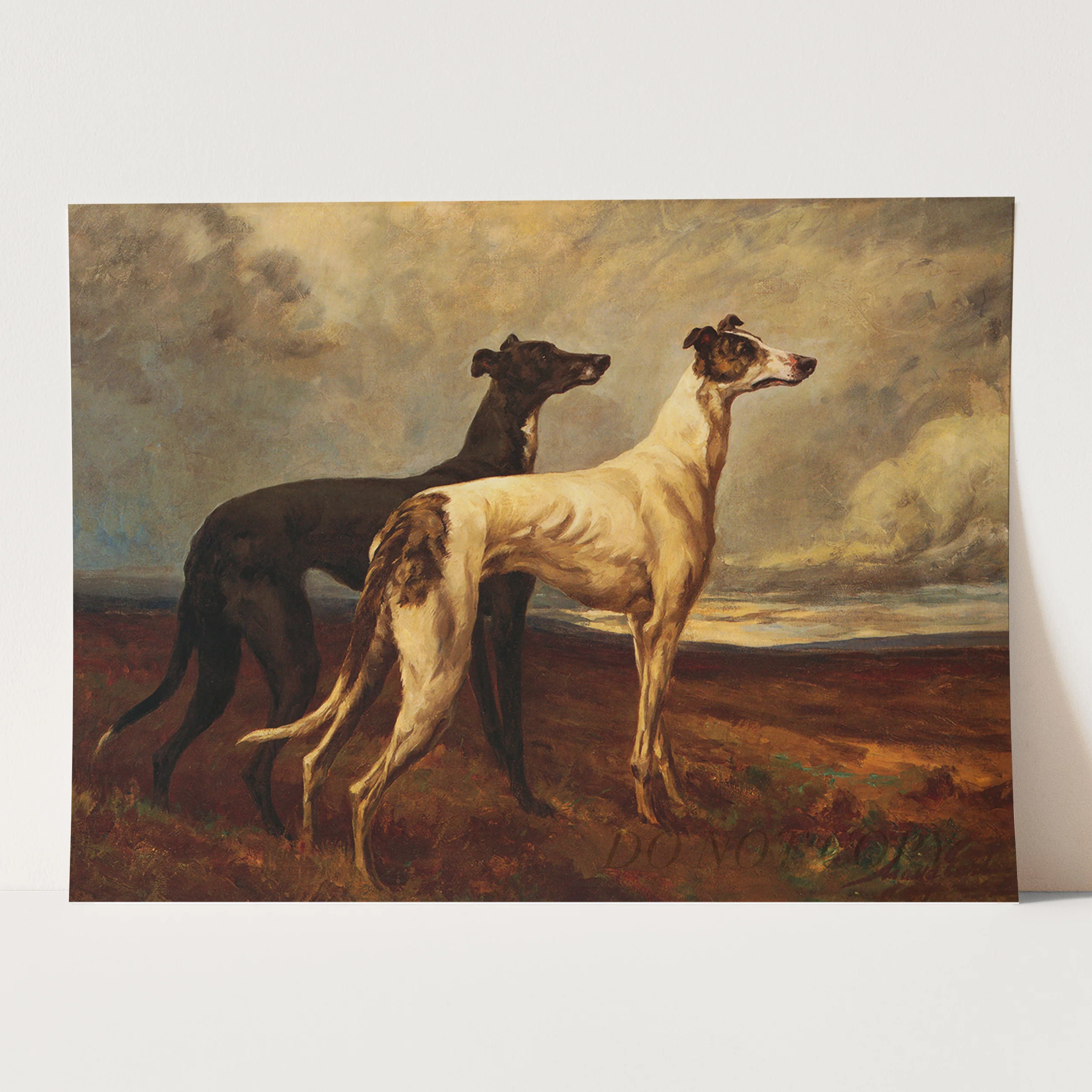 Greyhounds In Field - Image 3
