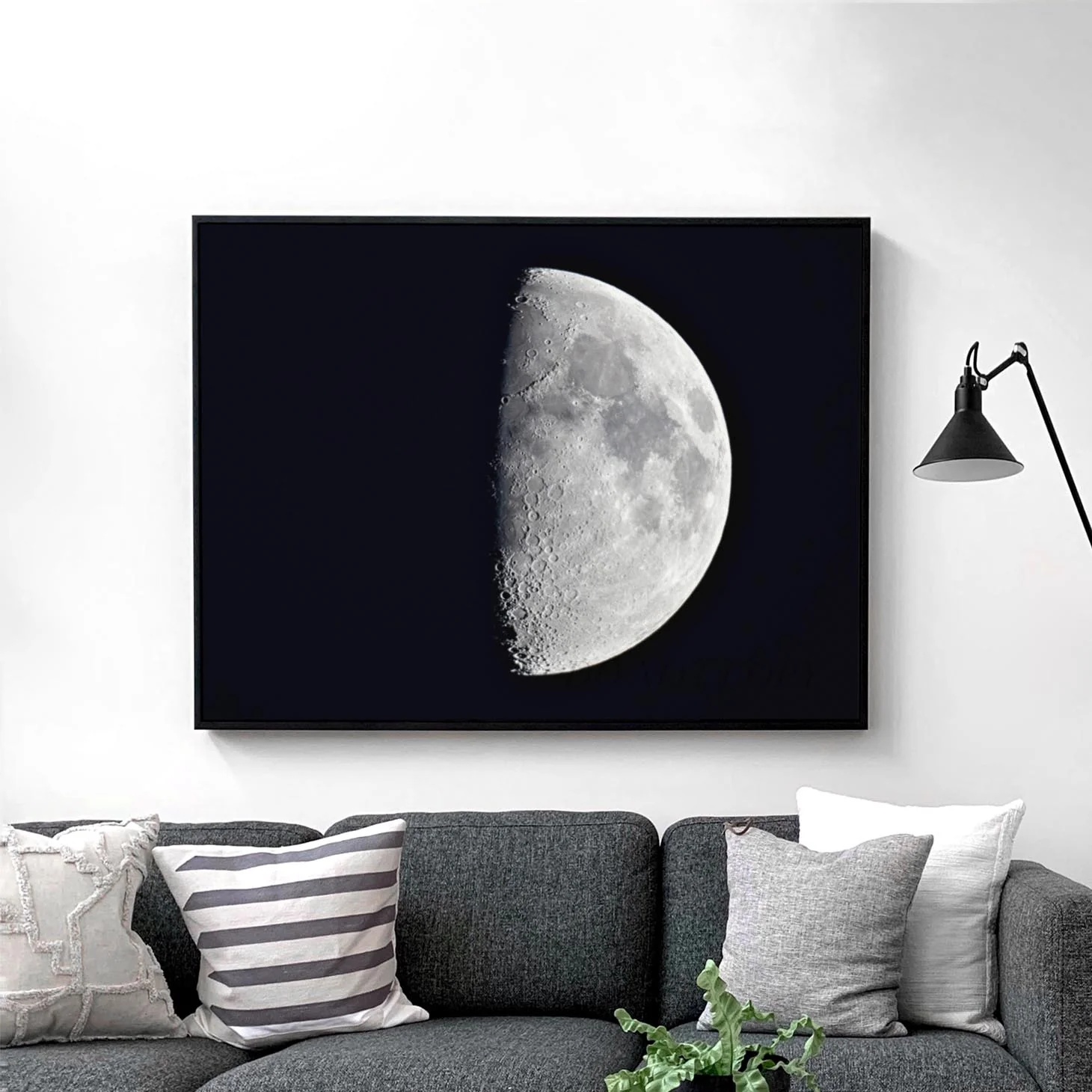 Half Moon - Image 2