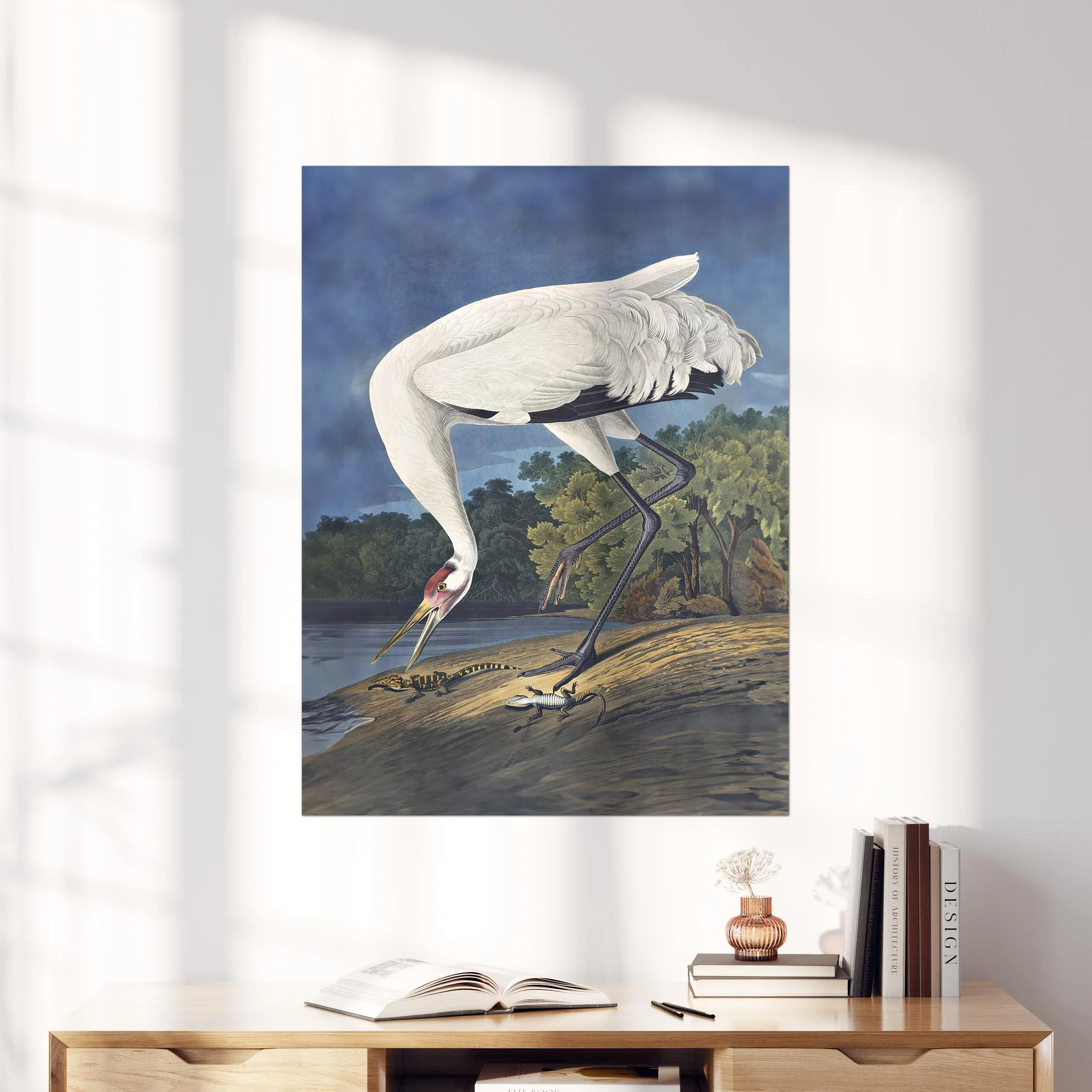 Hooping Crane 1834 - Image 4