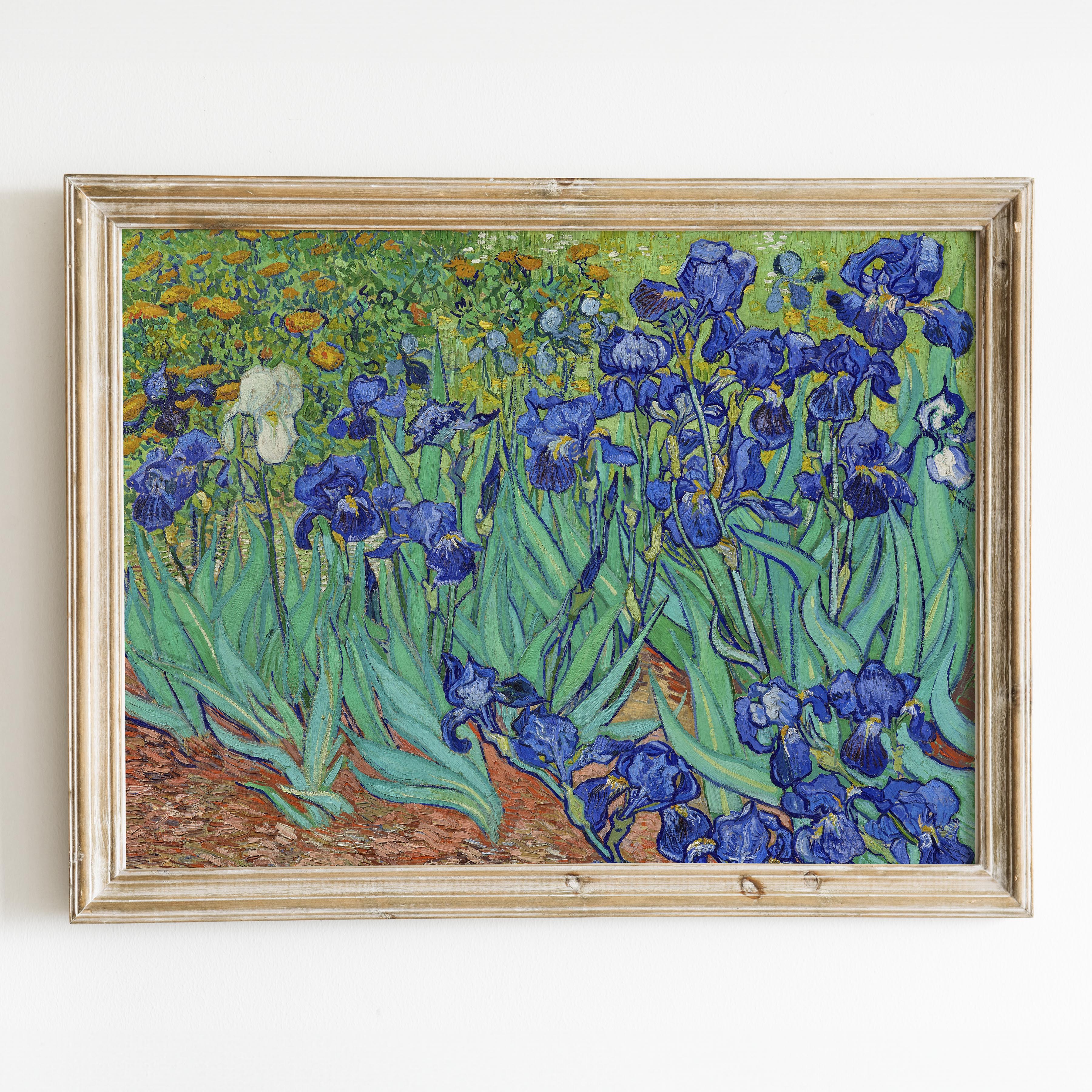 Irises 1889 by Van Gogh