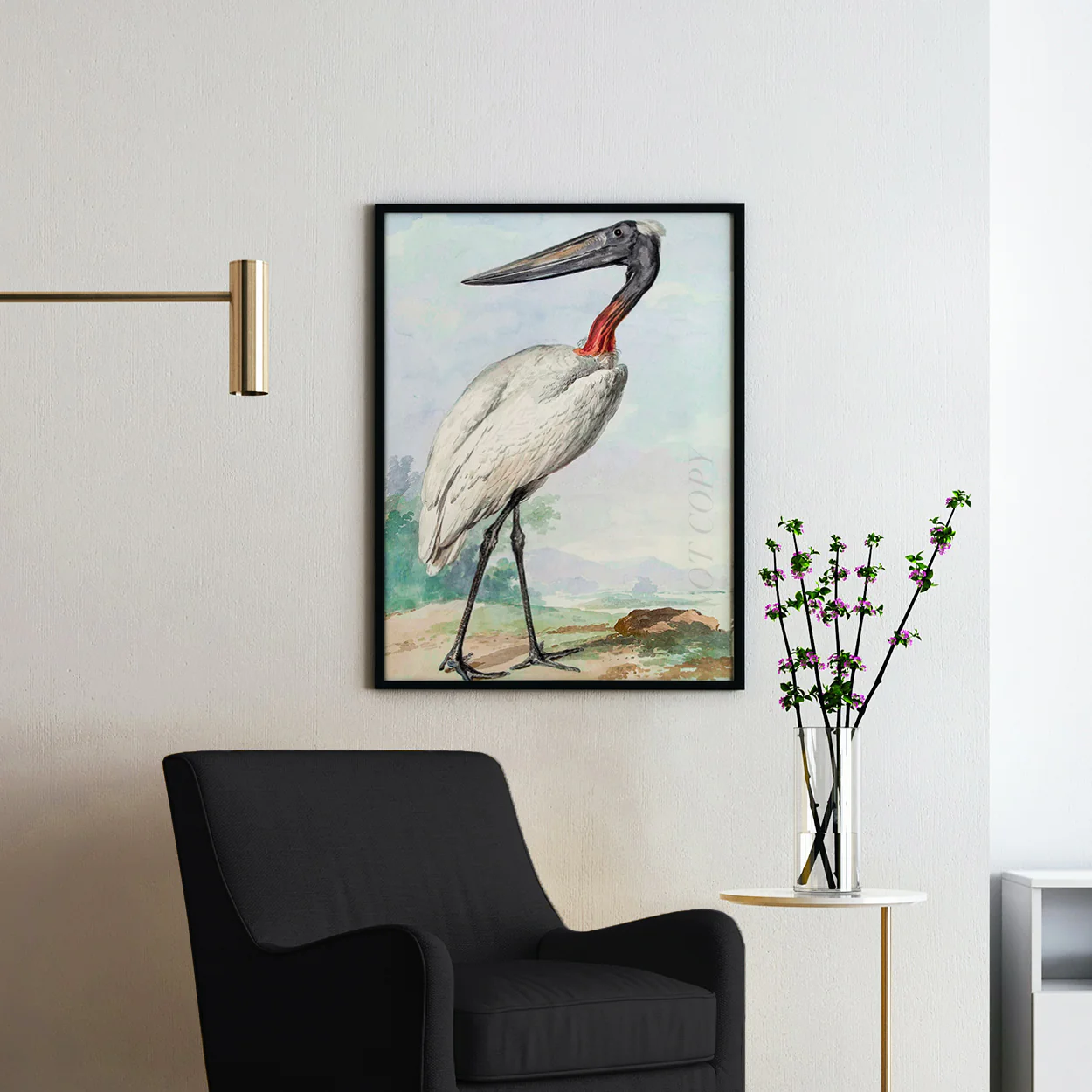 Jabiru Jabiroe Stork by Aert Schouman - Image 2