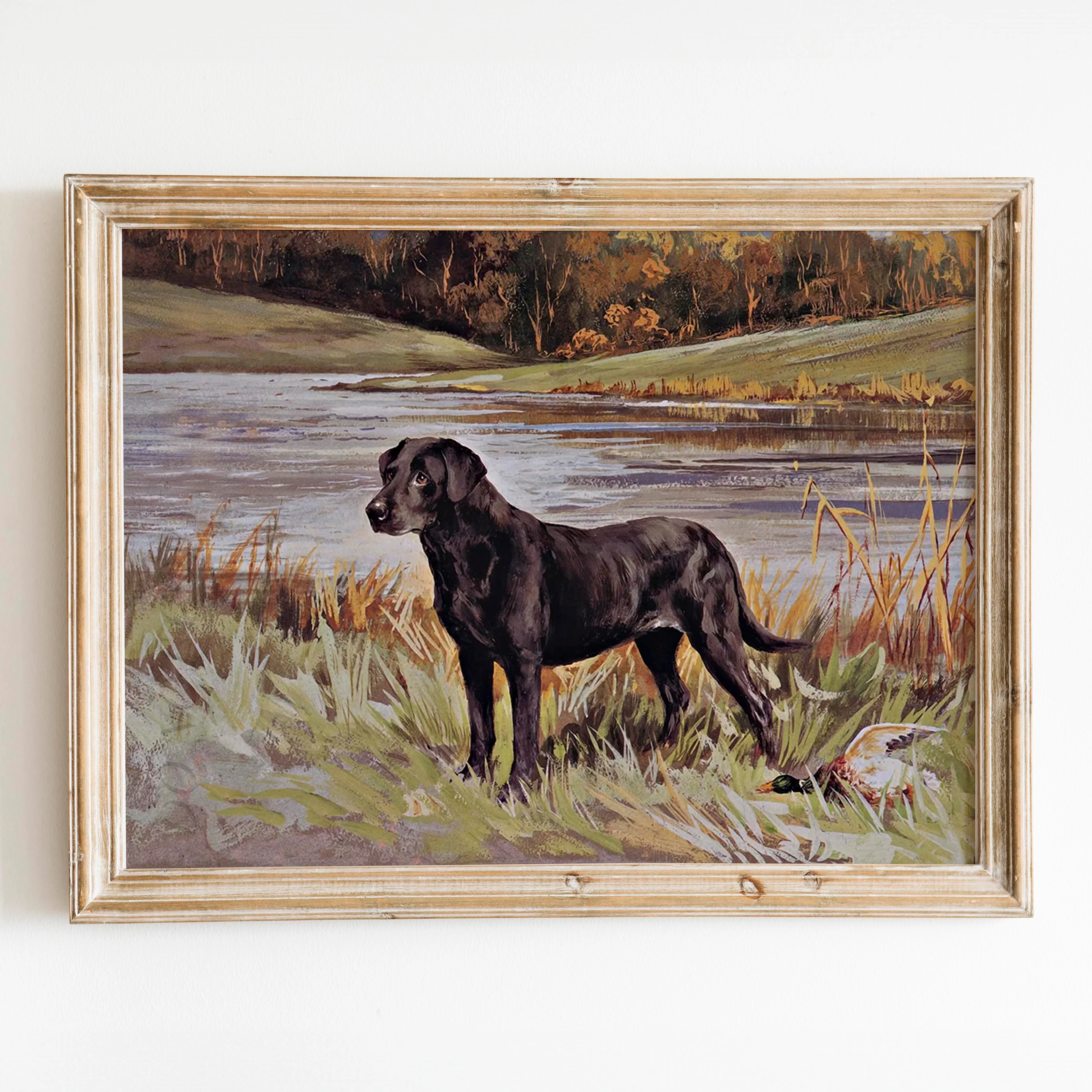 Labrador Retriever With Duck