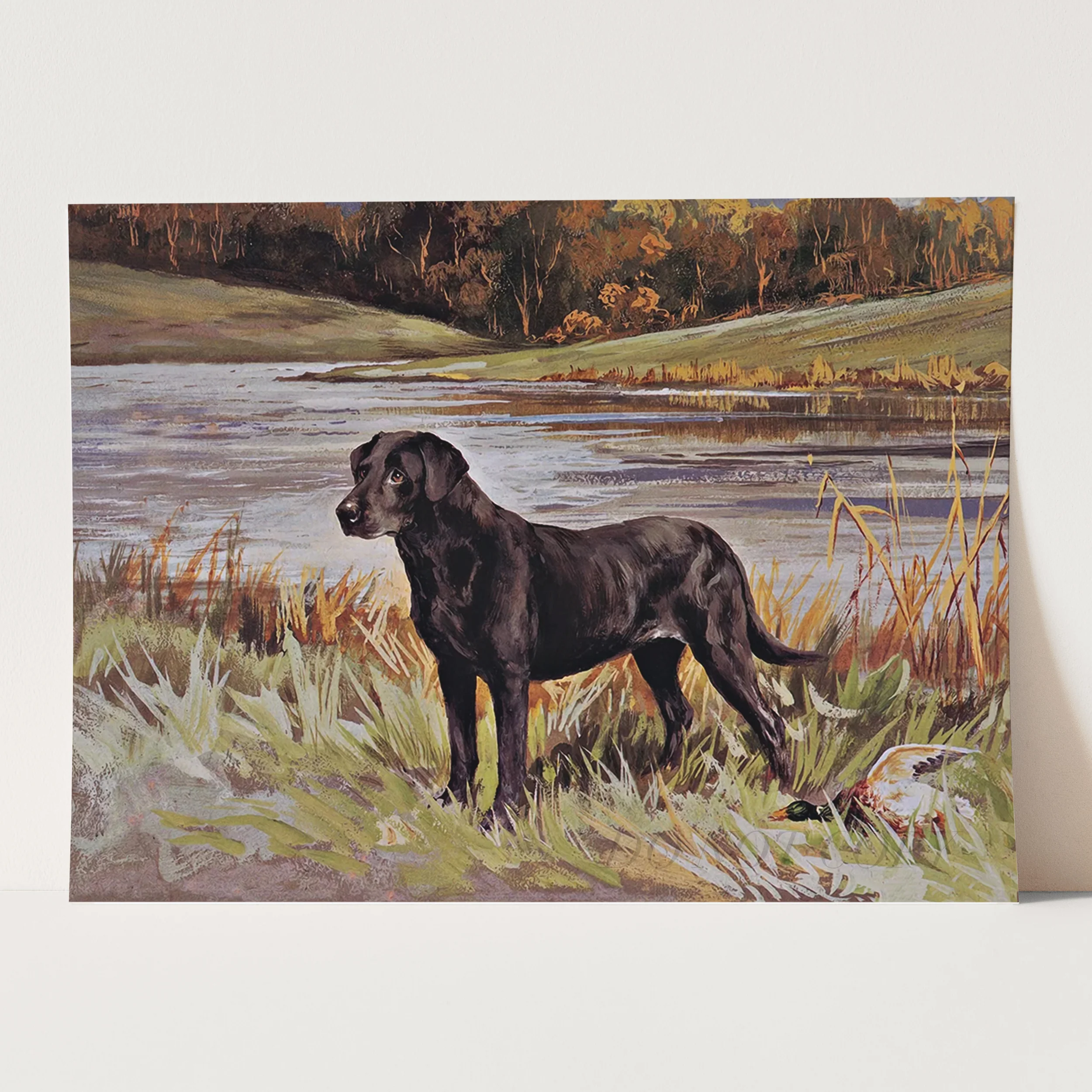 Labrador Retriever With Duck - Image 3