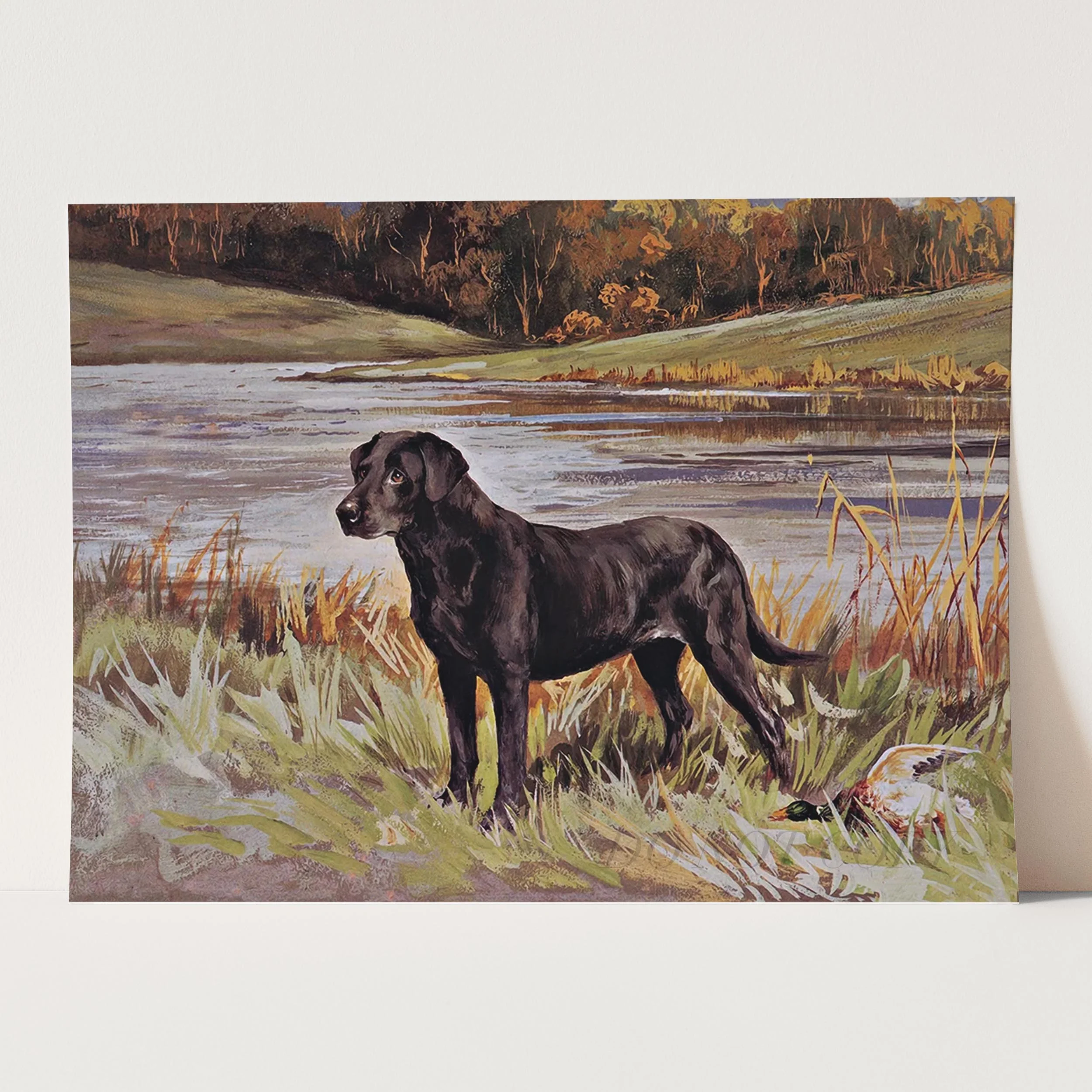 Labrador Retriever with Duck - Image 5