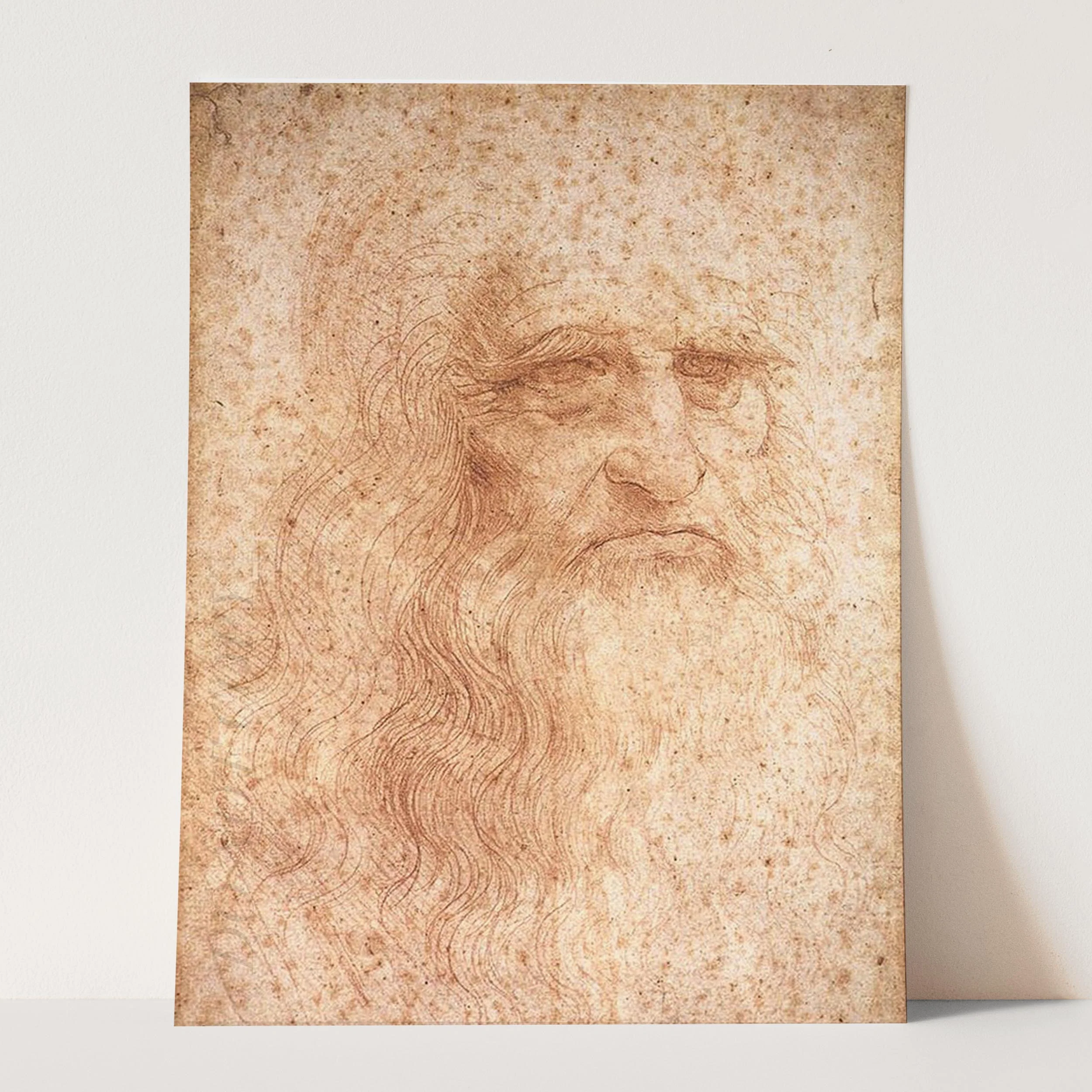 Leonardo Da Vinci Portrait - Image 3