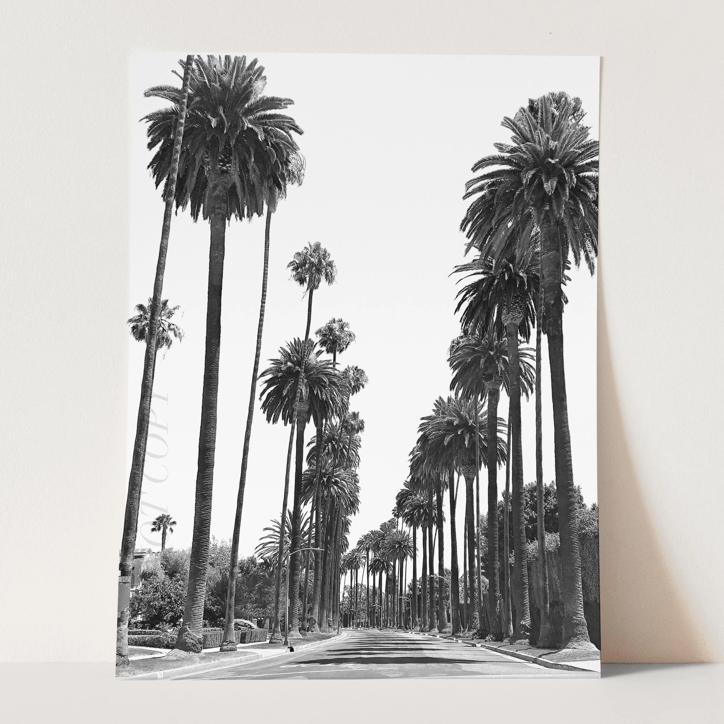 Los Angeles Palm Trees - Image 3