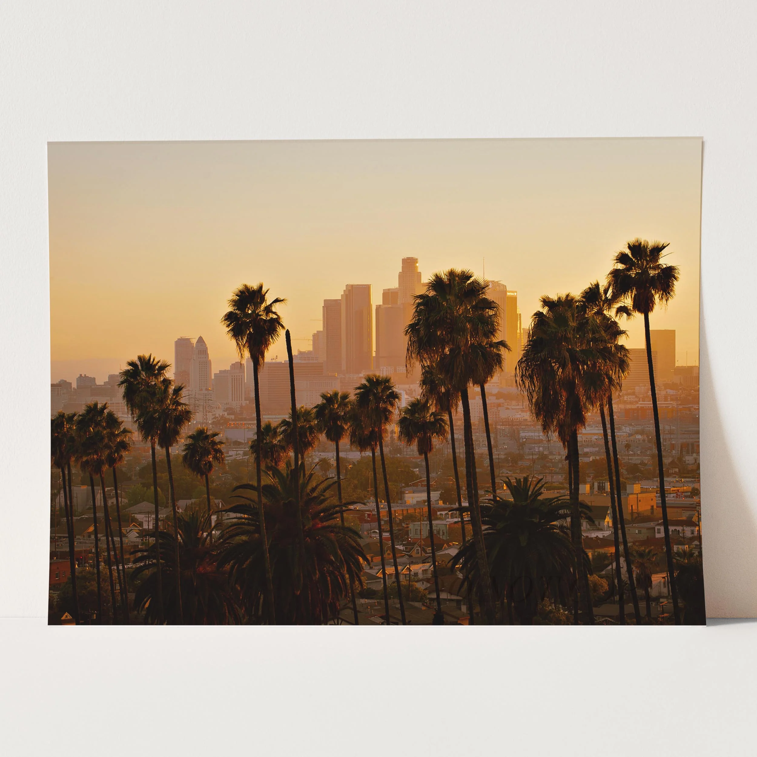 Los Angeles Palm Trees Downtown - Image 3