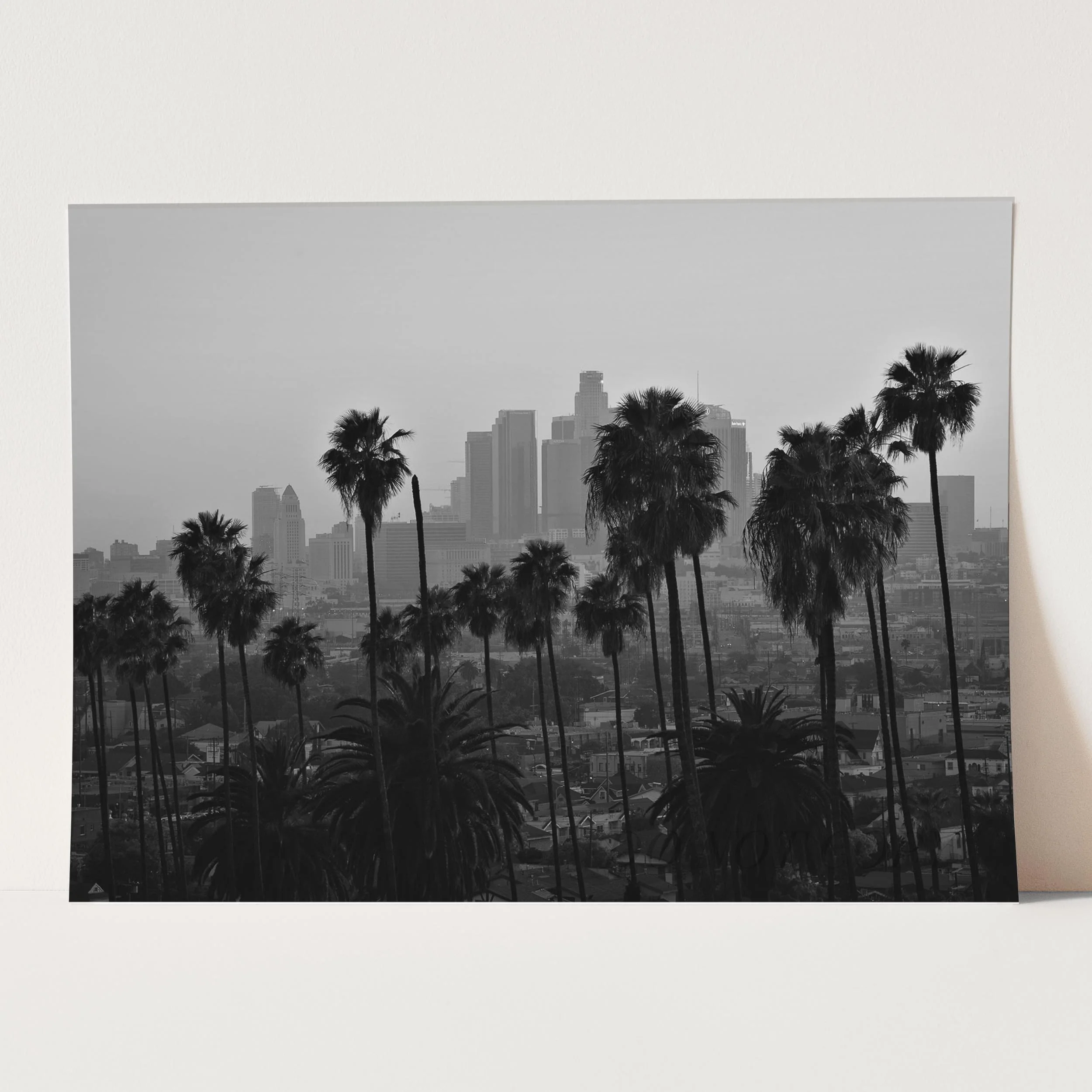 Los Angeles Palm Trees Downtown LA - Image 3