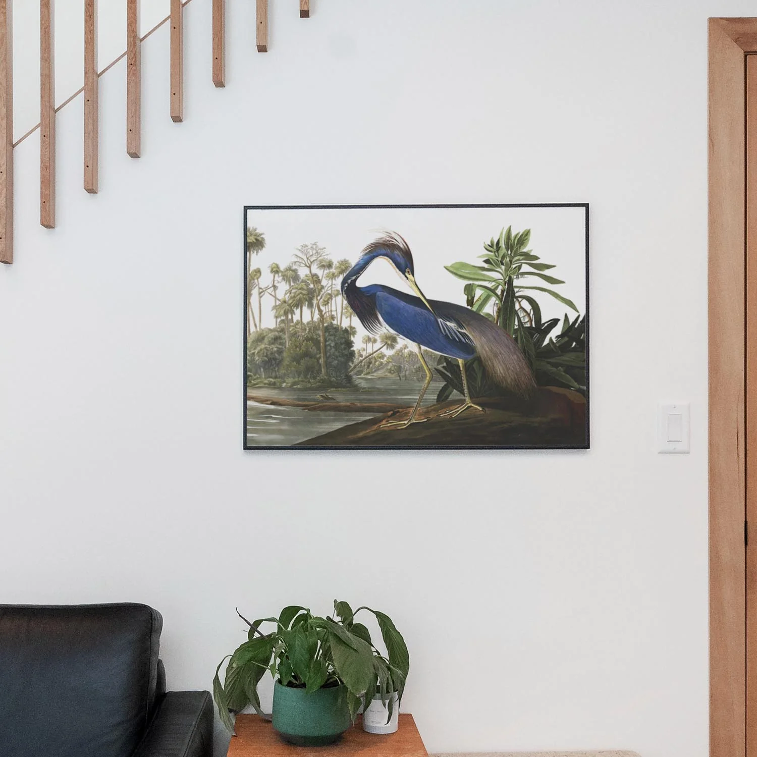 Louisiana Heron, Birds of America - Image 2