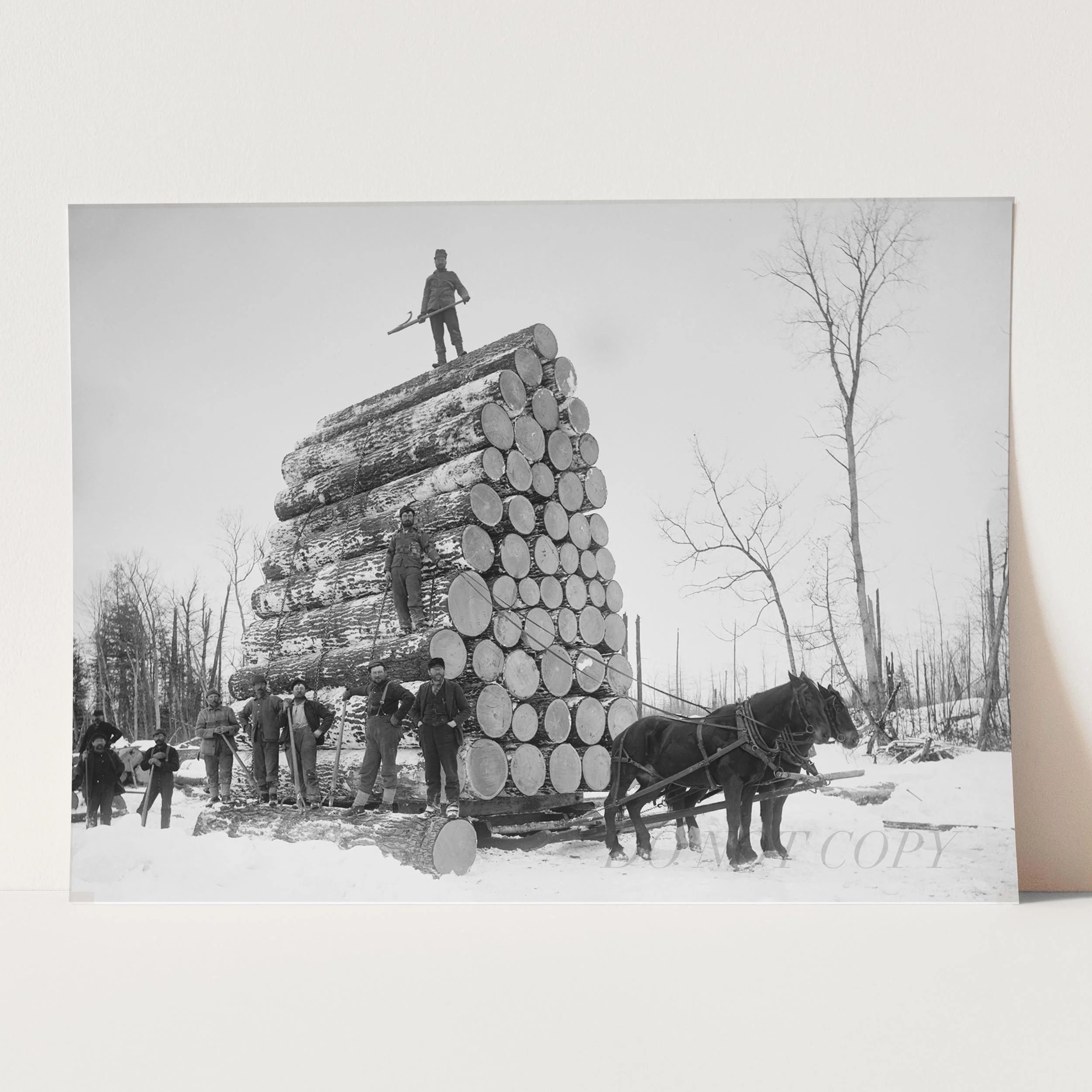 Lumberjacks At Work 1890 - Image 3
