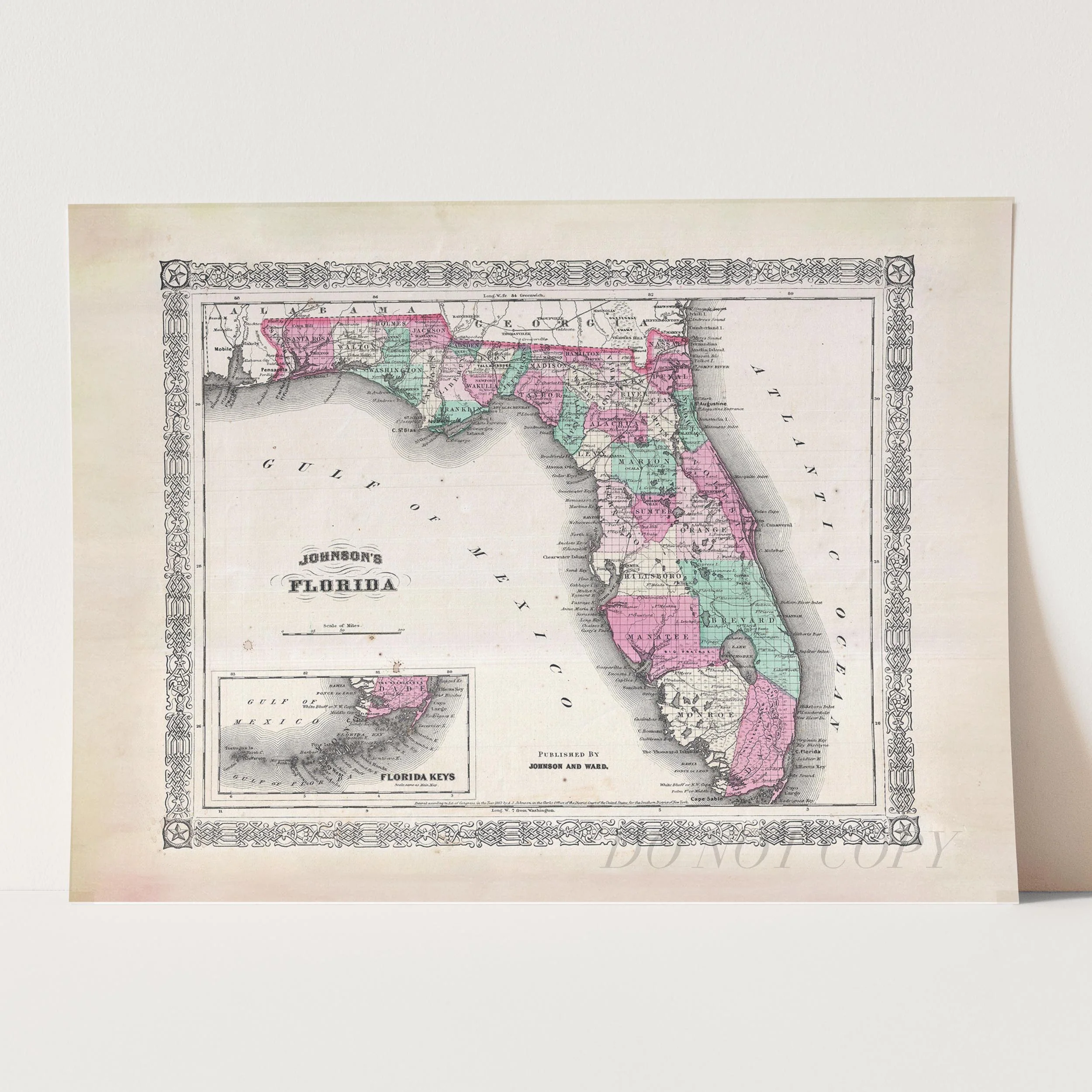 Map of Florida 1866 - Image 5