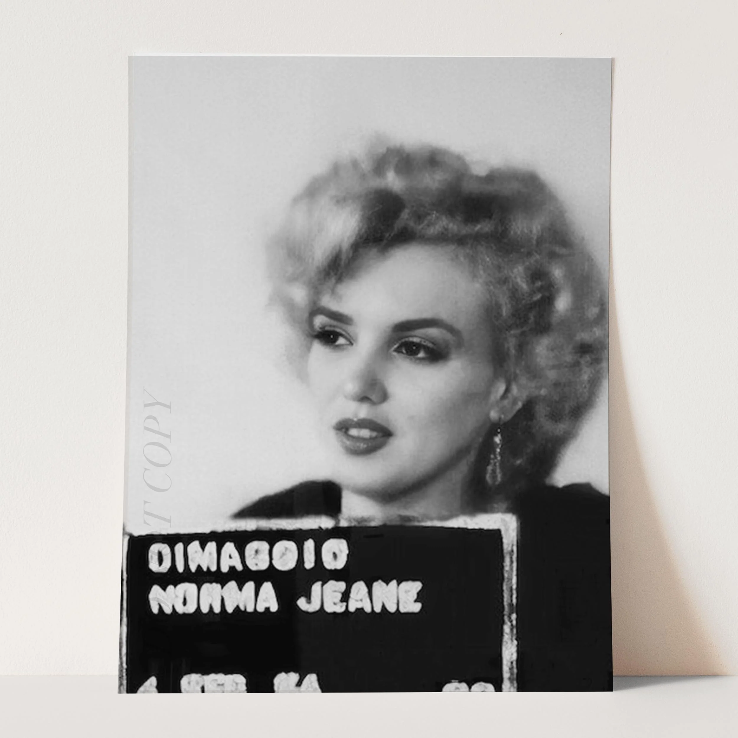 Marilyn Monroe Prison Mug Shot - Image 3