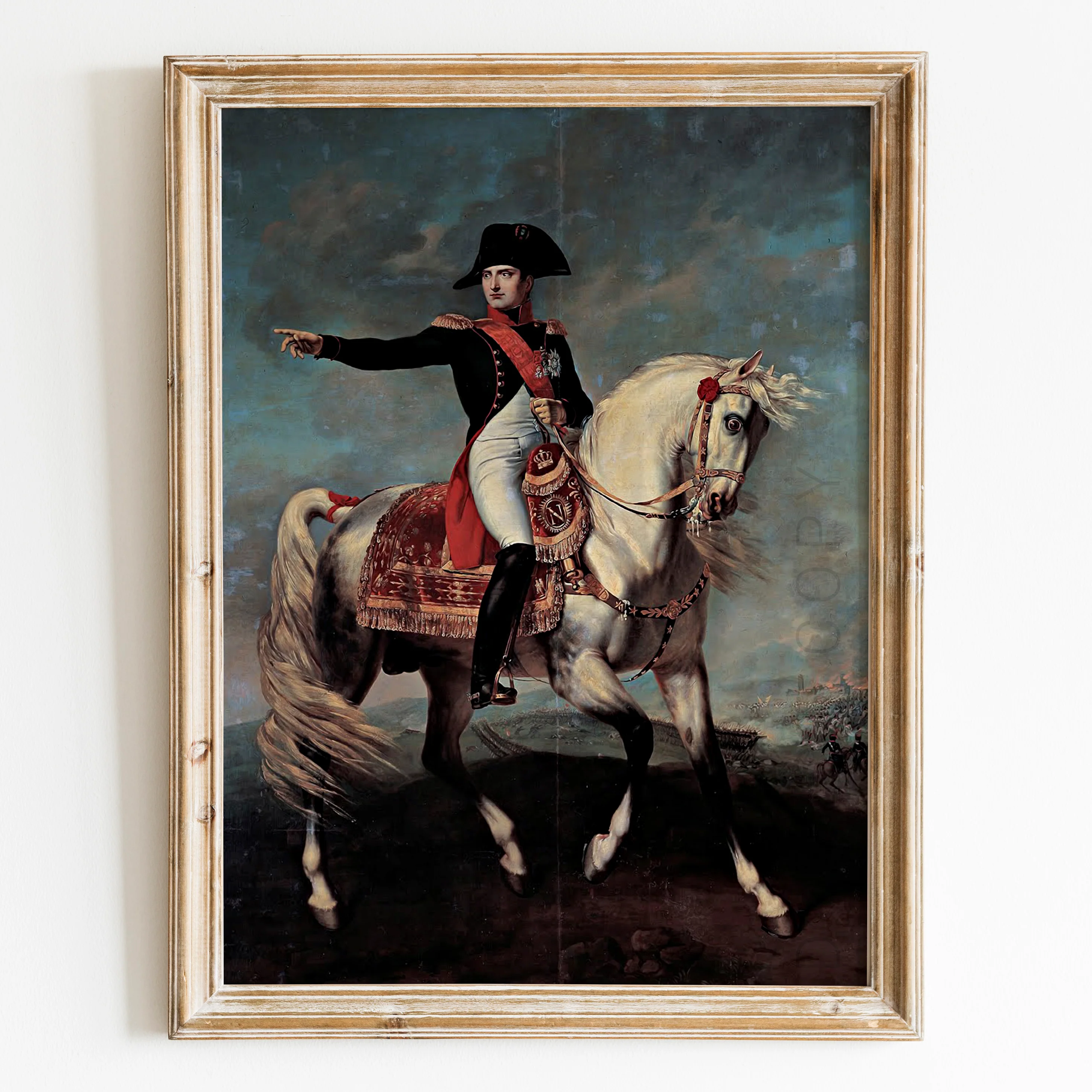 Napoleon on the Field of Wagram by Joseph Chabord