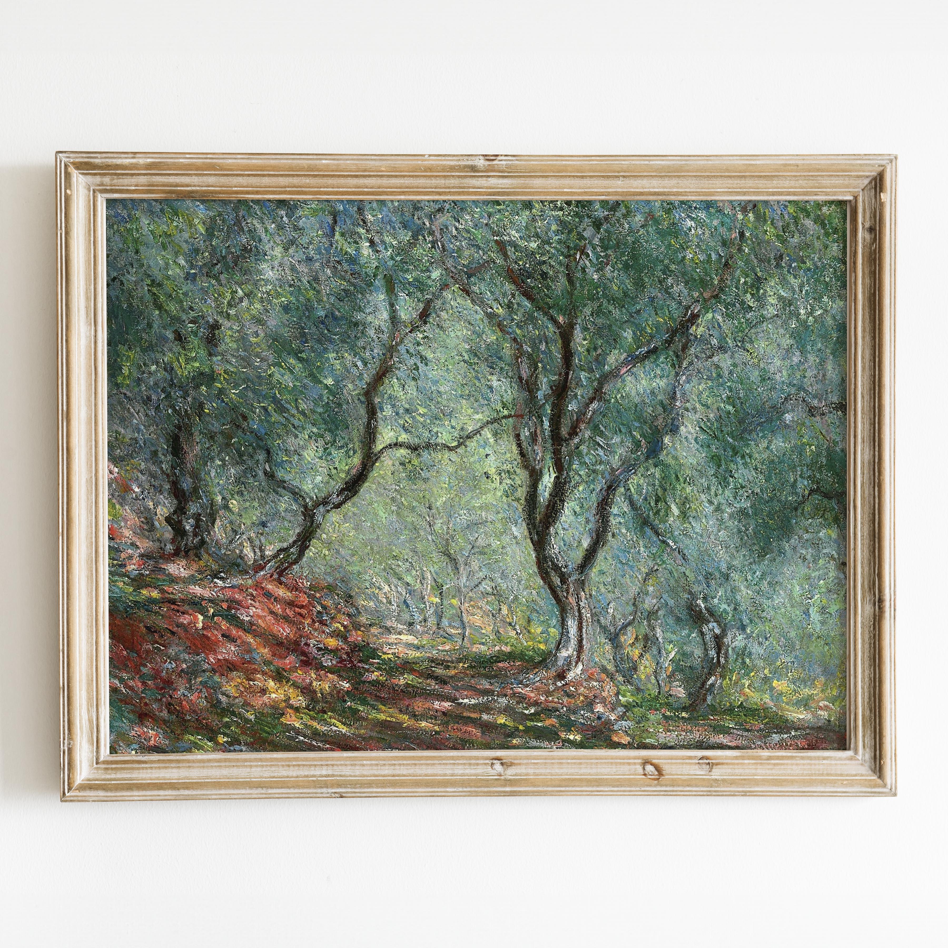 Olive Trees by Claude Monet