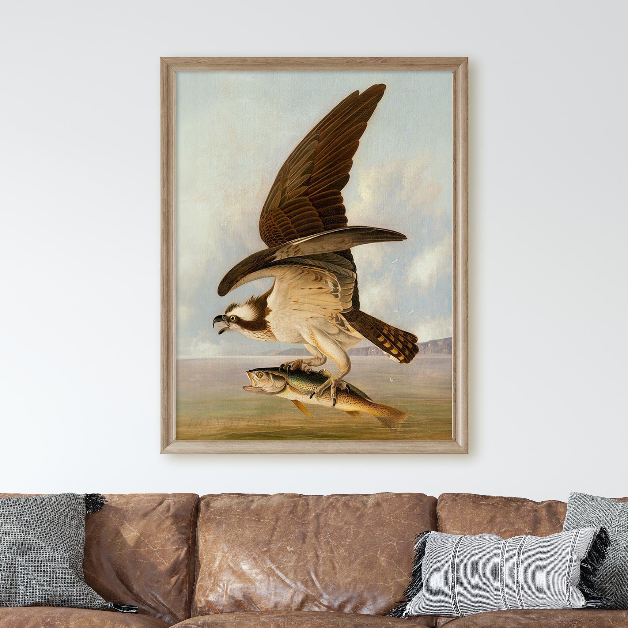 Osprey and Weakfish, Birds of America - Image 3