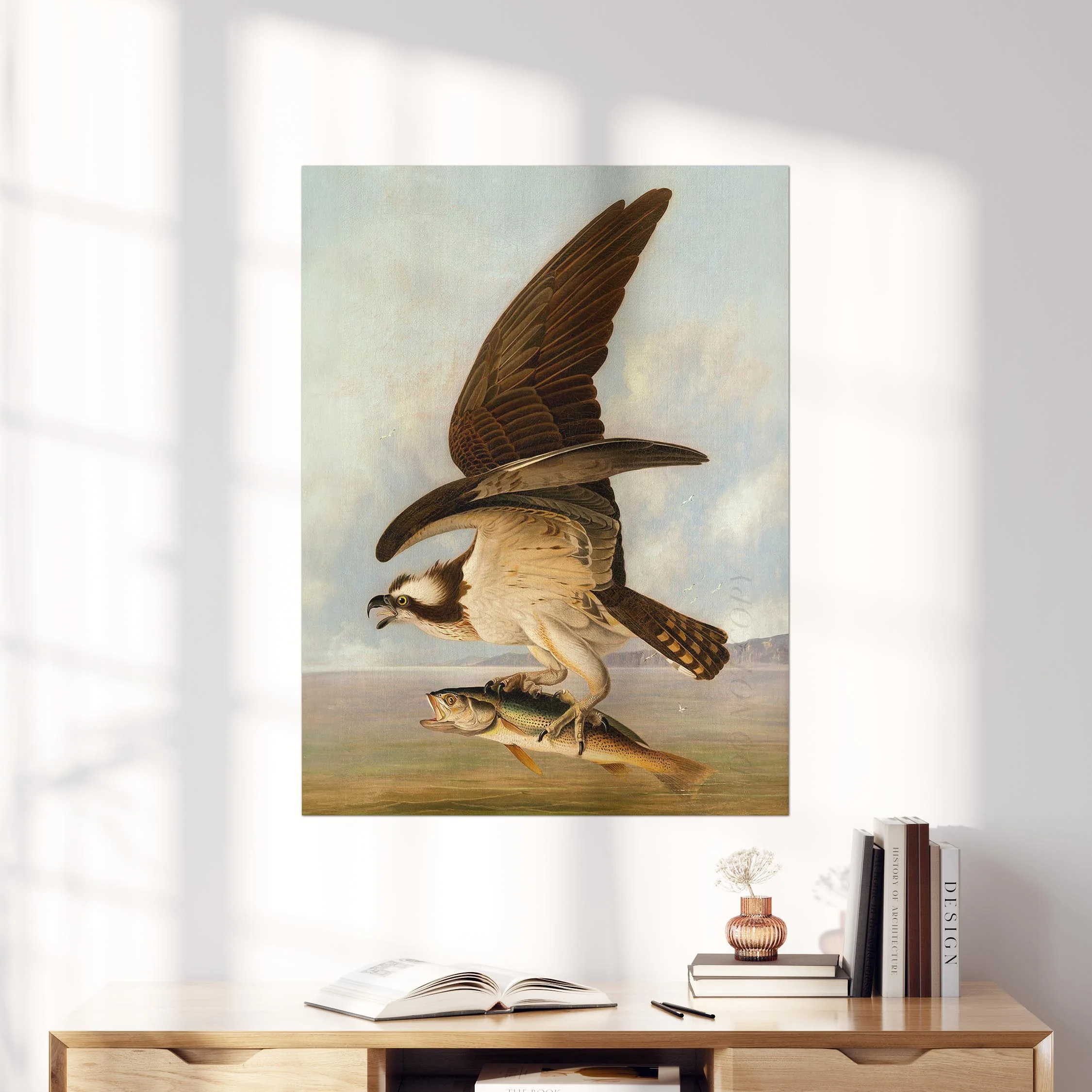 Osprey and Weakfish, Birds of America - Image 4
