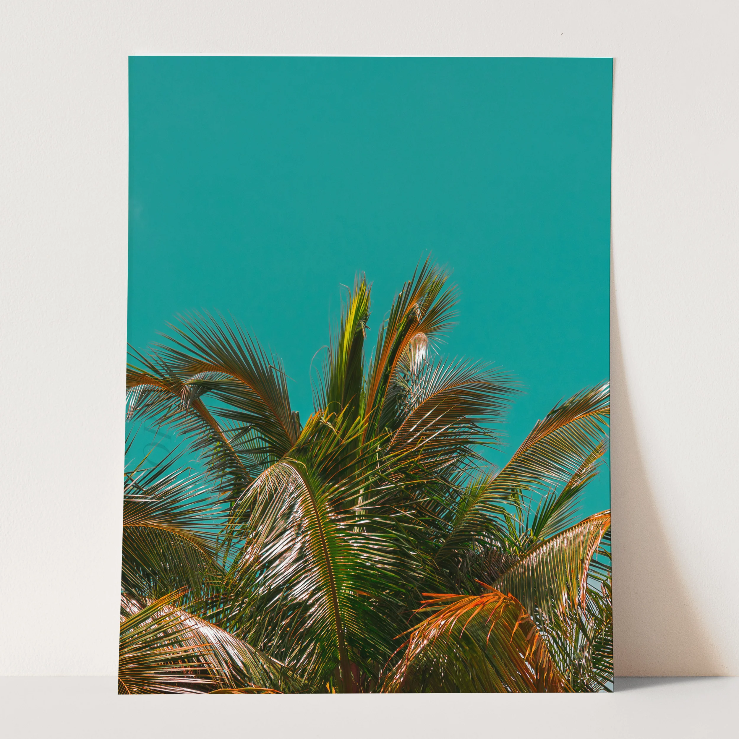 Palm Tree - Aqua - Image 3