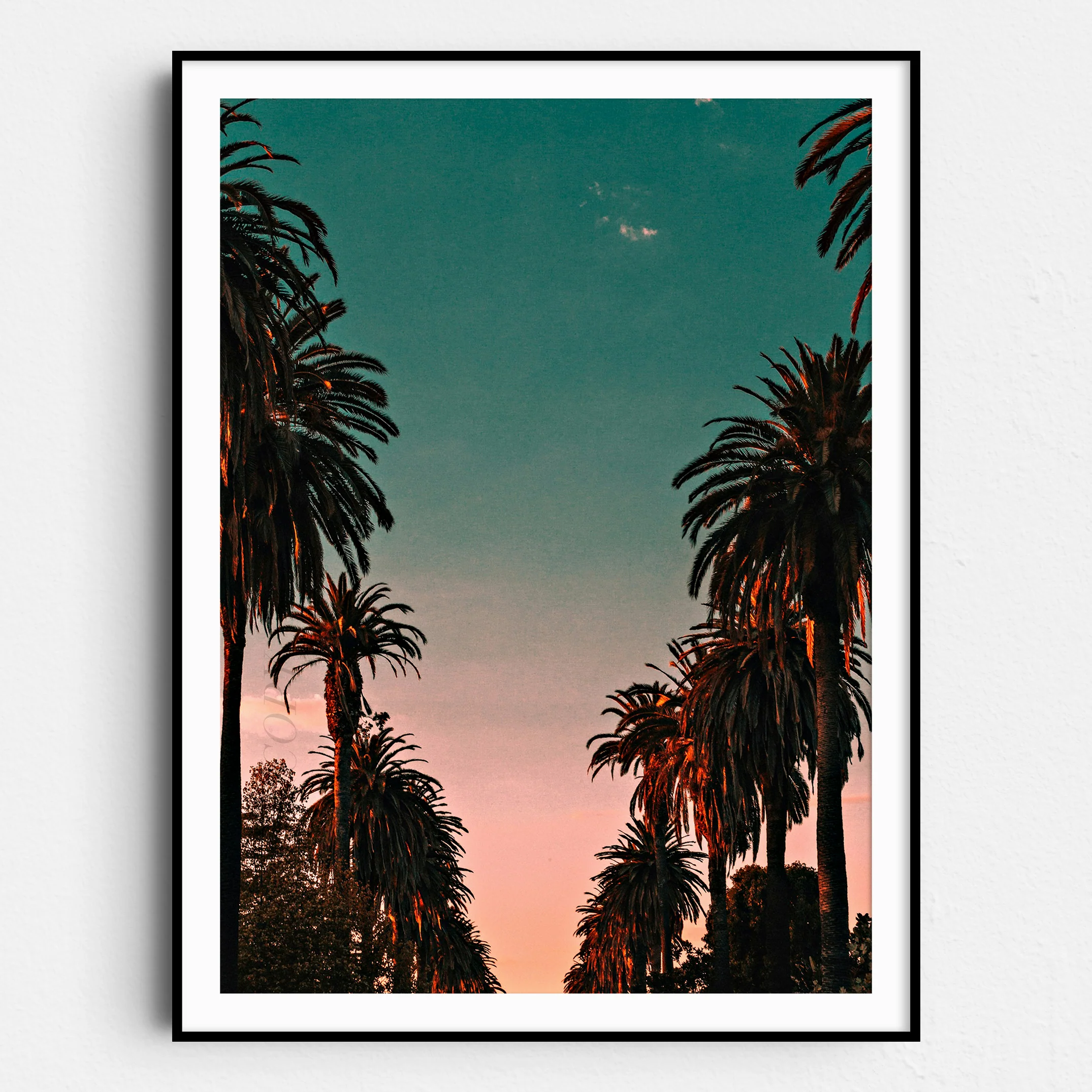Palm Trees Sunset, California