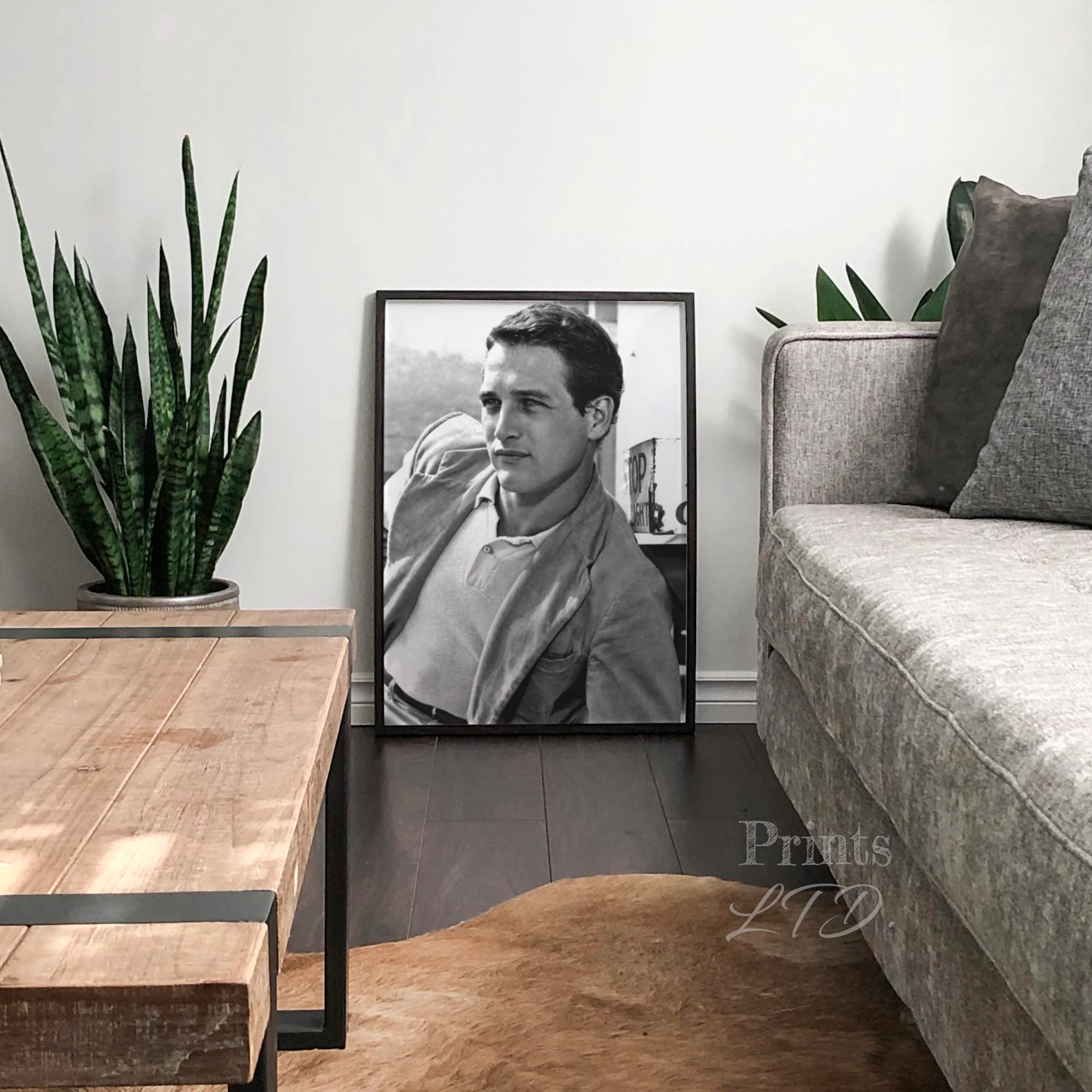 Paul Newman - Image 3