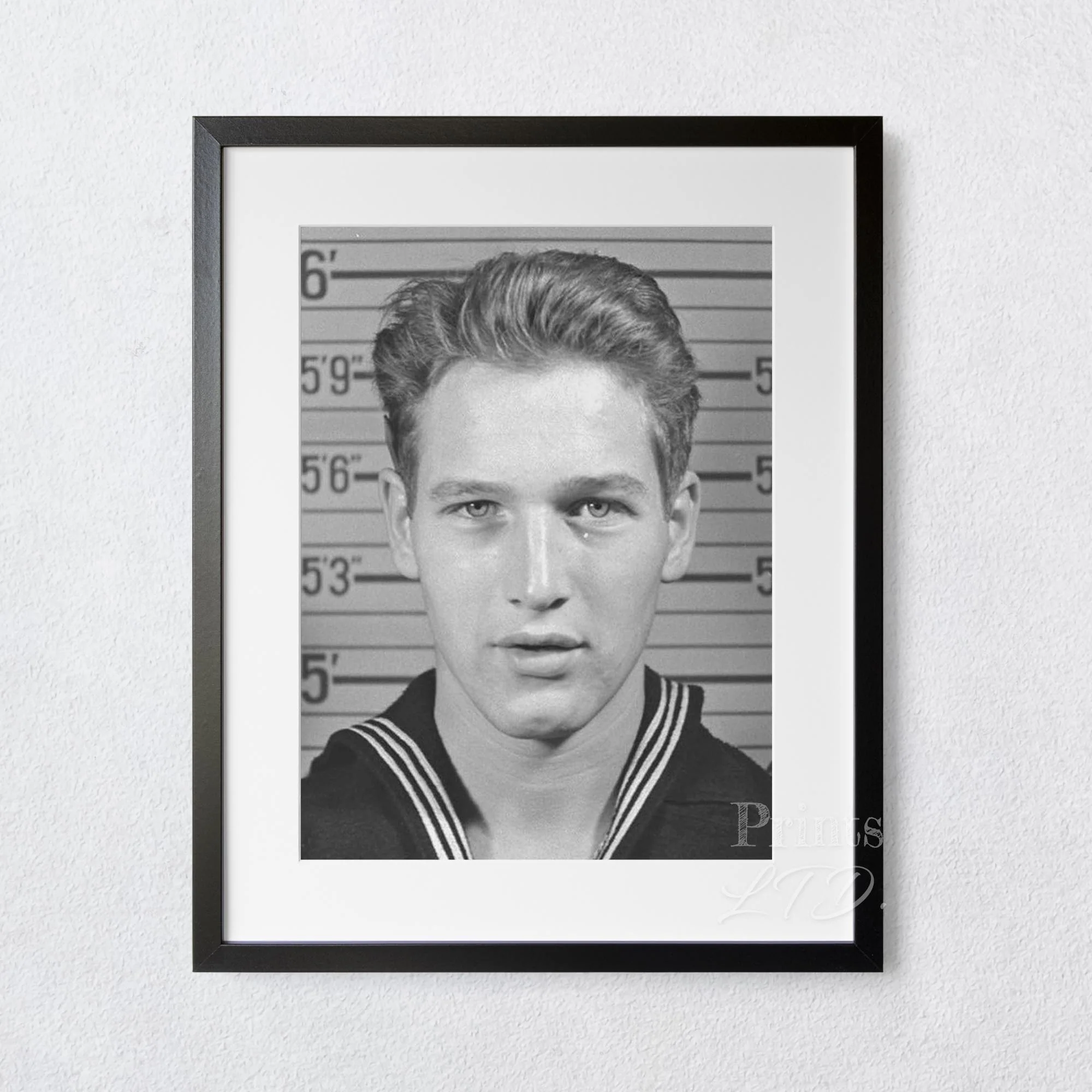 Paul Newman US Navy Mugshot - Image 4