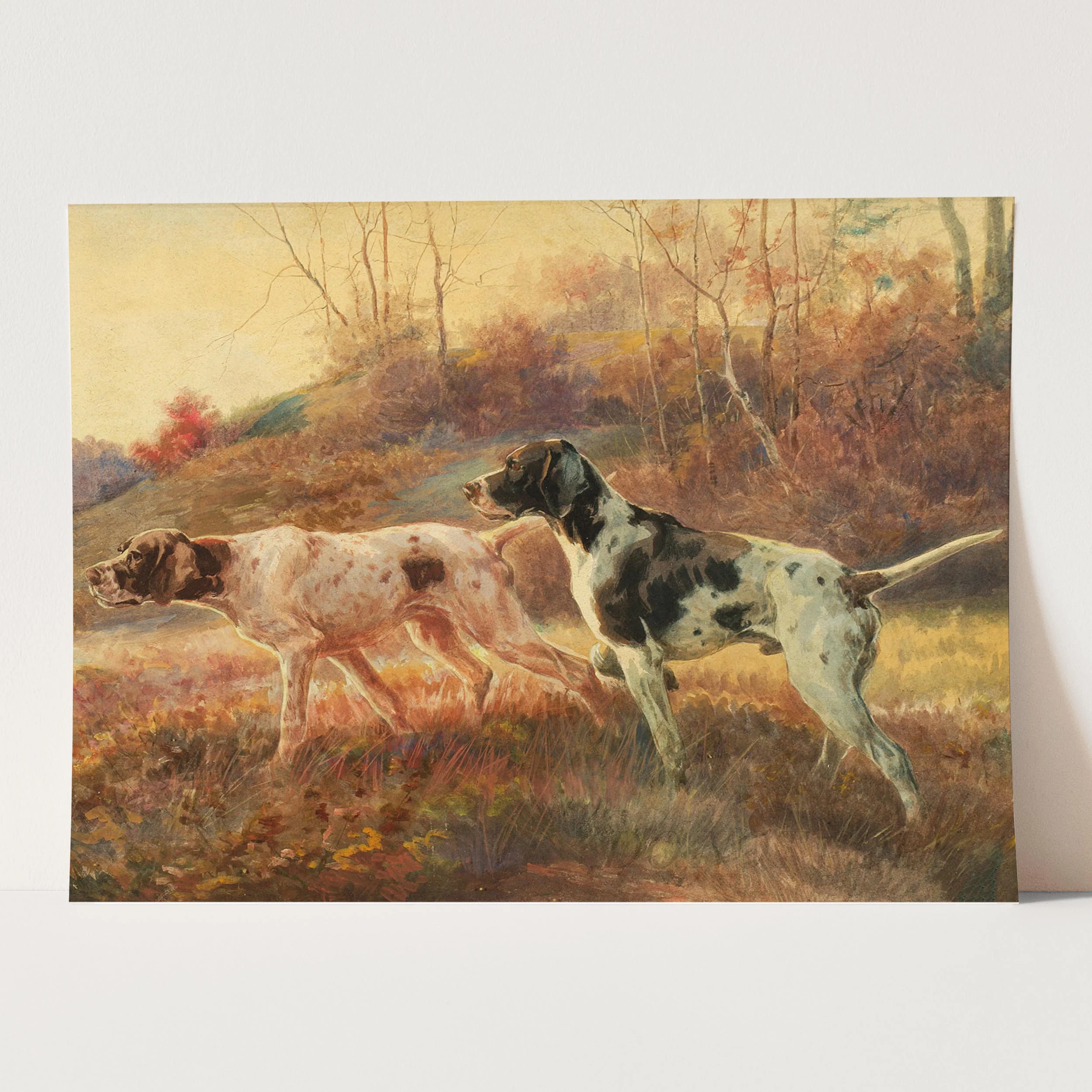 Pointers in the Field - Image 5