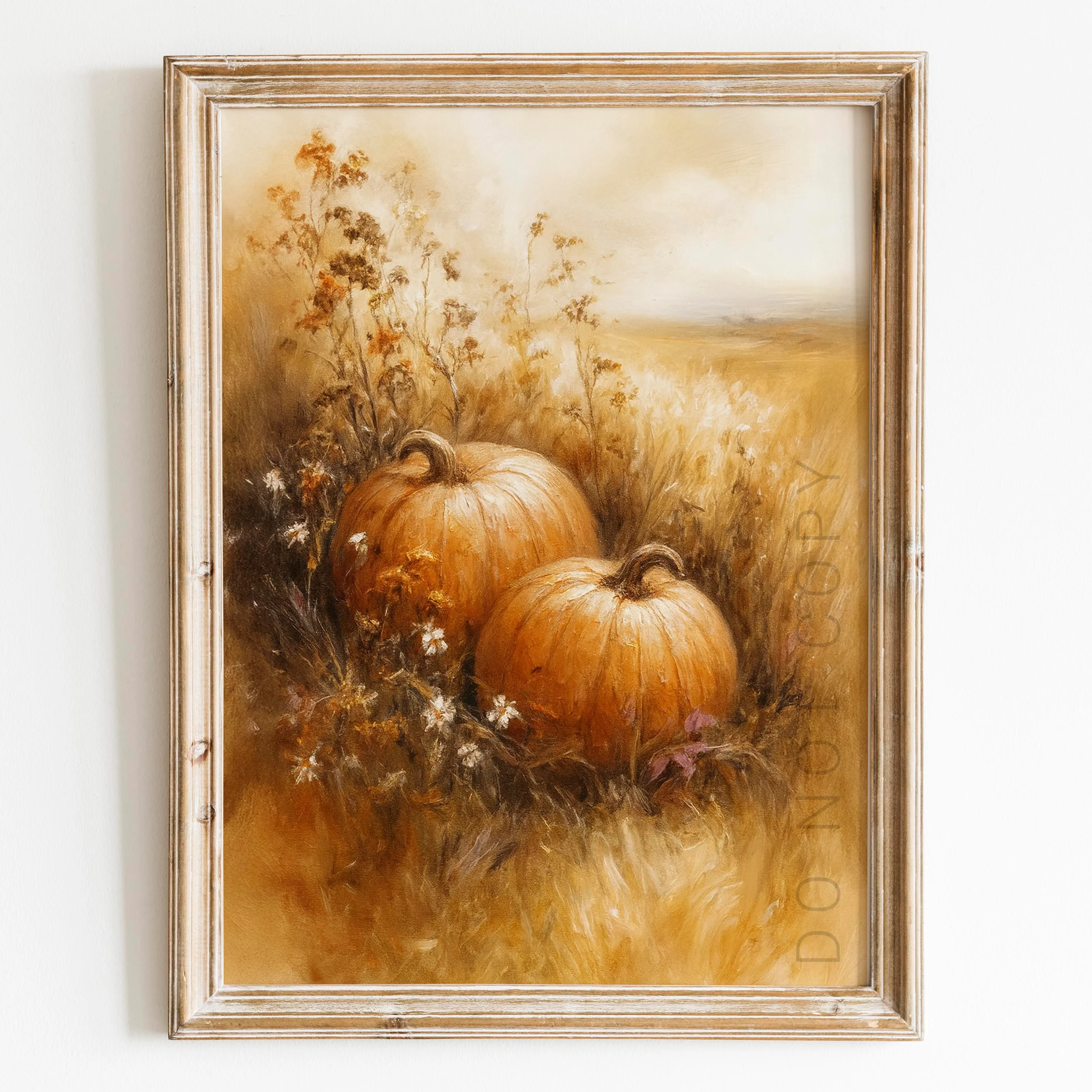 Pumpkin Field
