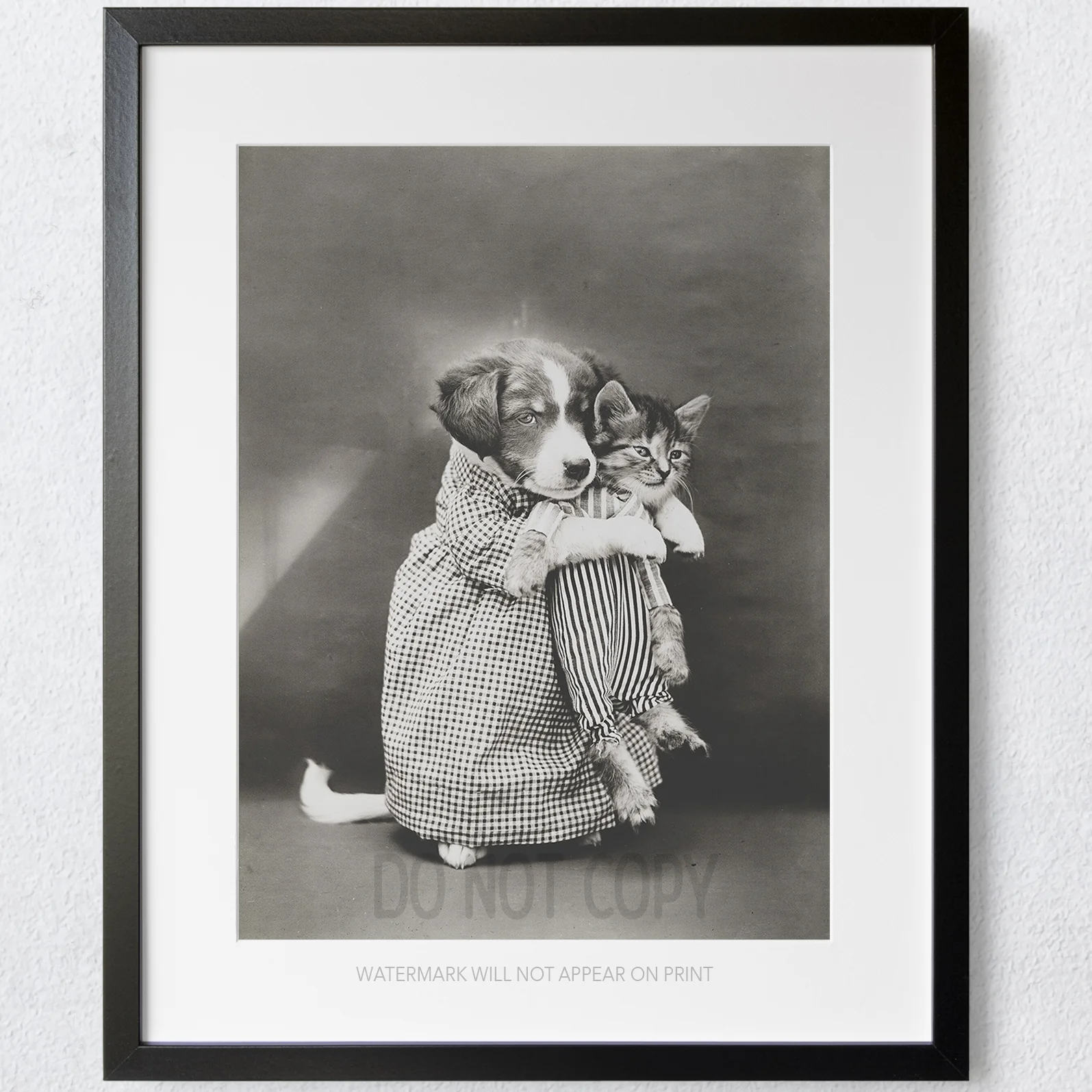 Puppy Holding Kitten Vintage Funny Animals Retro 1900s - Image 3