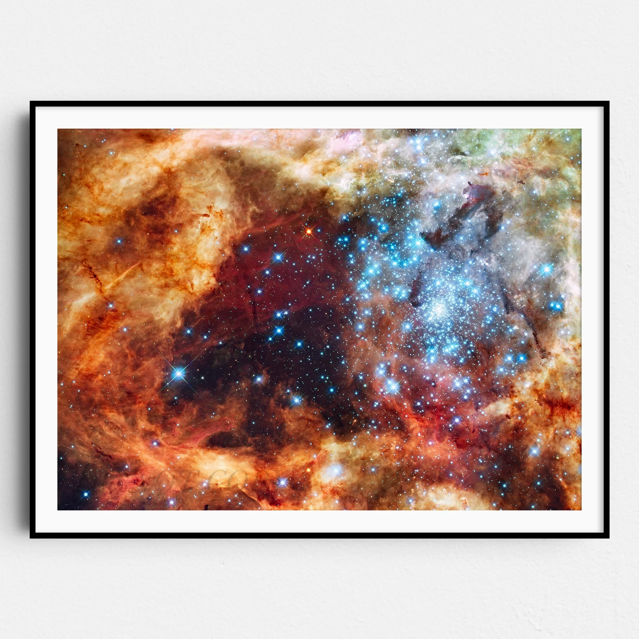 R136 Star Cluster (NASA Hubble Space Telescope)