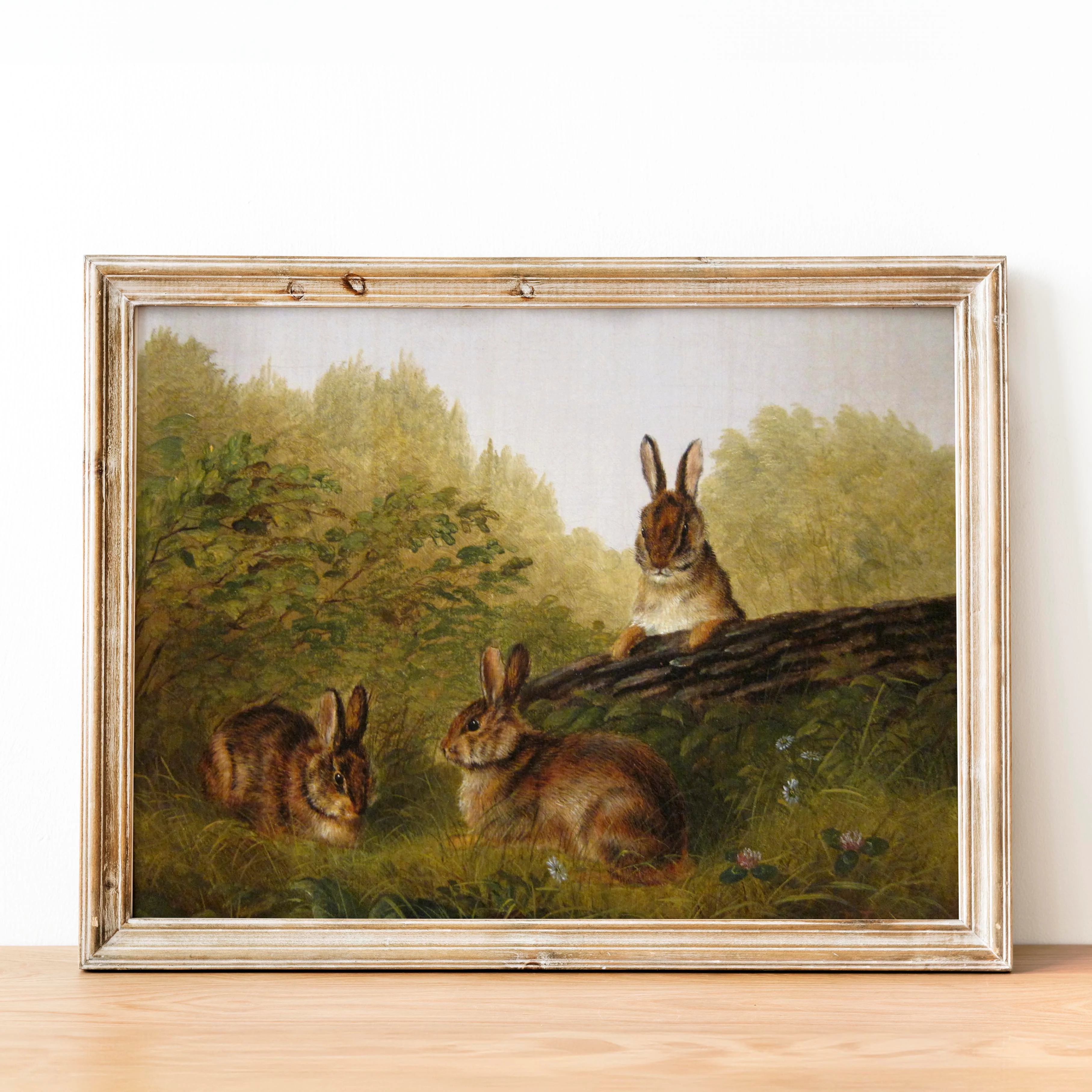 Rabbit Family - Image 2