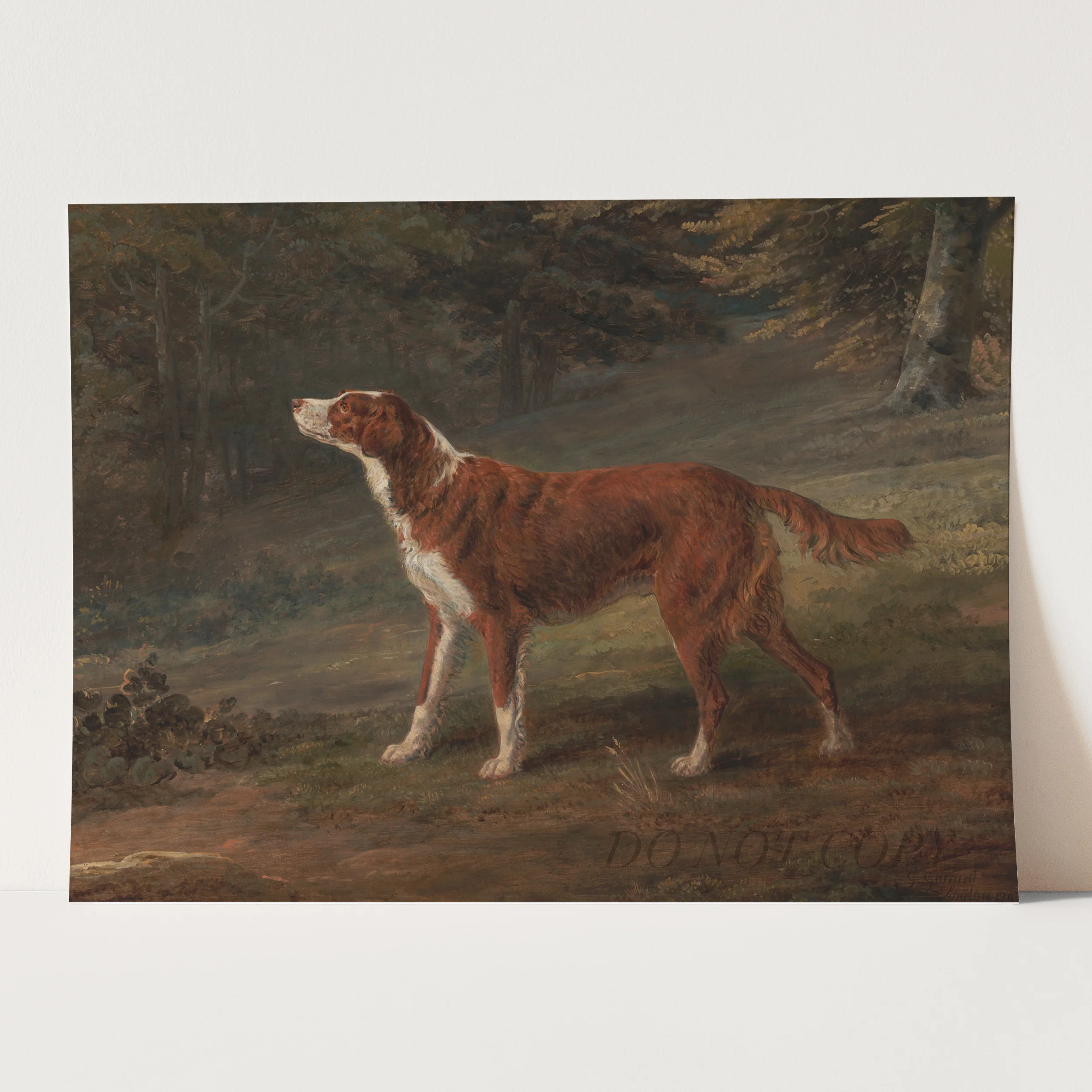 Ranger a English Setter Dog (1797) by George Garrard - Image 3