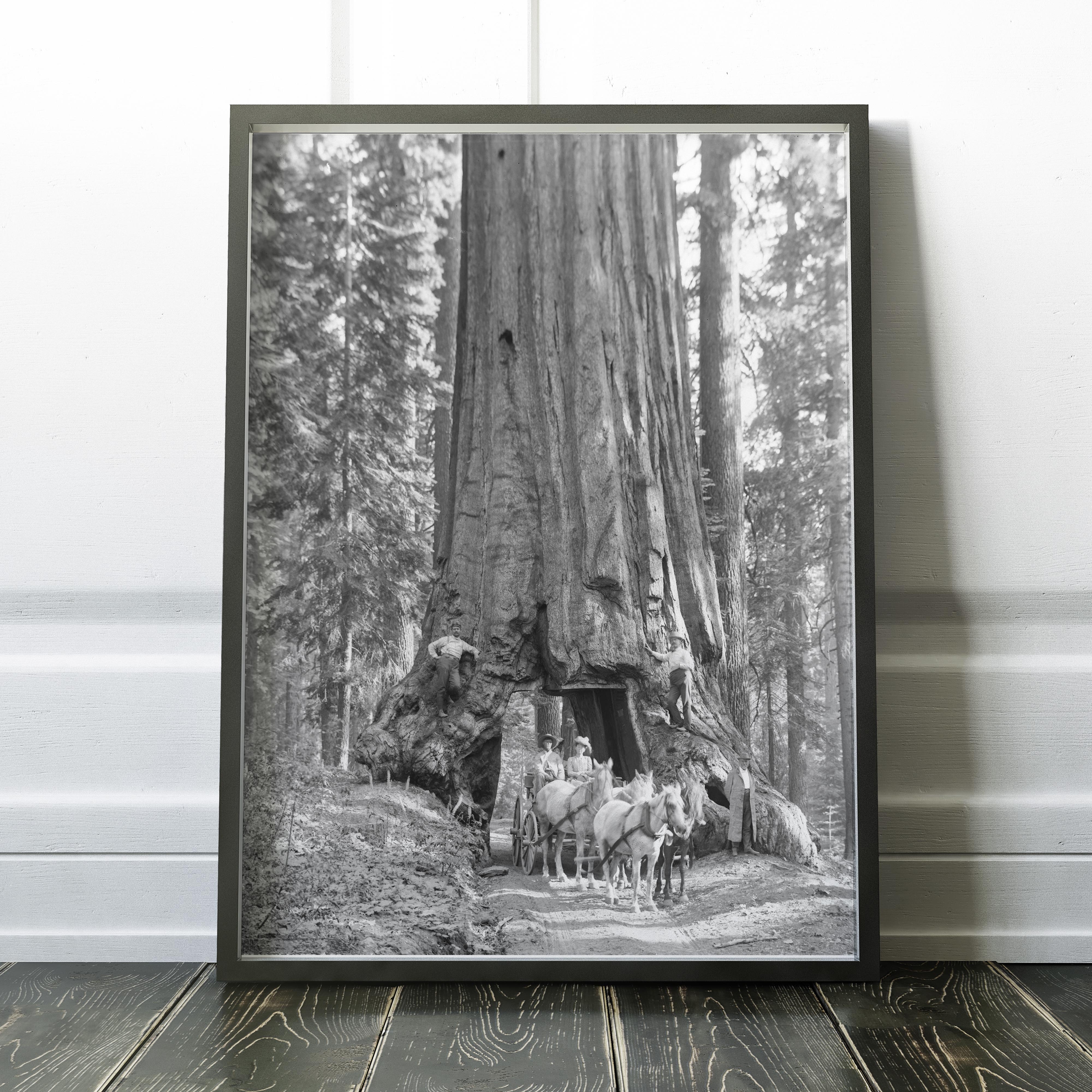 Riding Through Wawona Tunnel Tree, Yosemite - Image 2