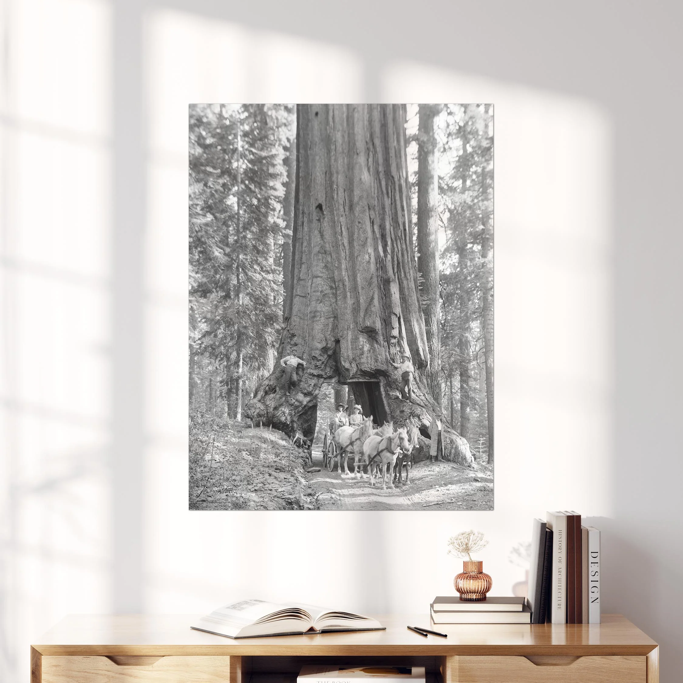 Riding Through Wawona Tunnel Tree, Yosemite - Image 3