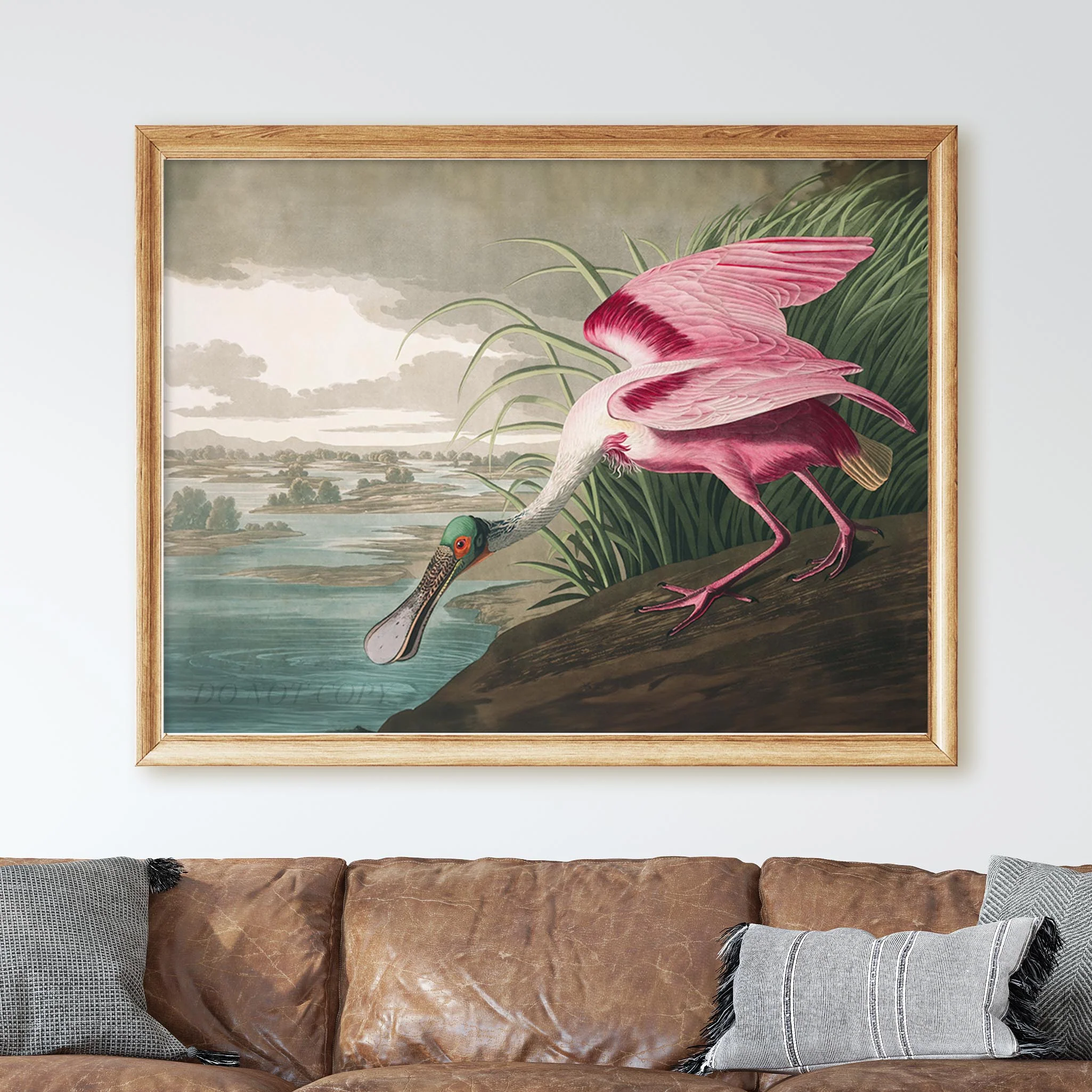 Roseate Spoonbill - Birds of America - Image 3