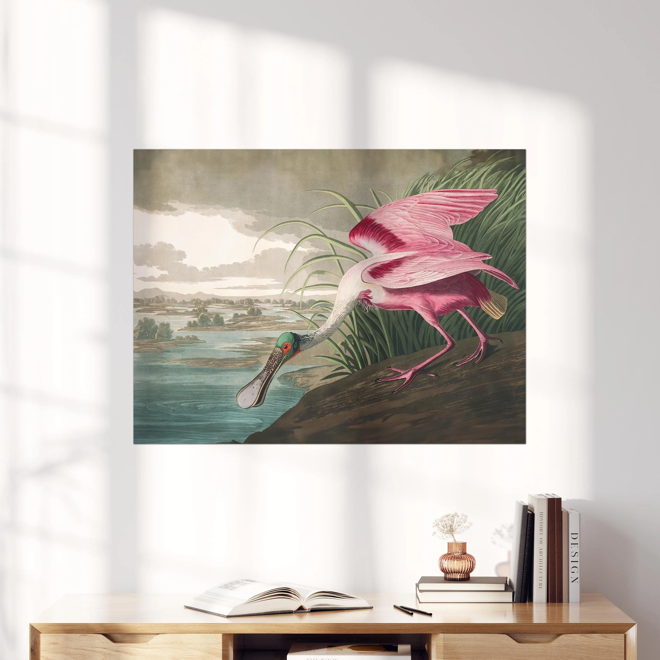 Roseate Spoonbill - Birds of America - Image 4