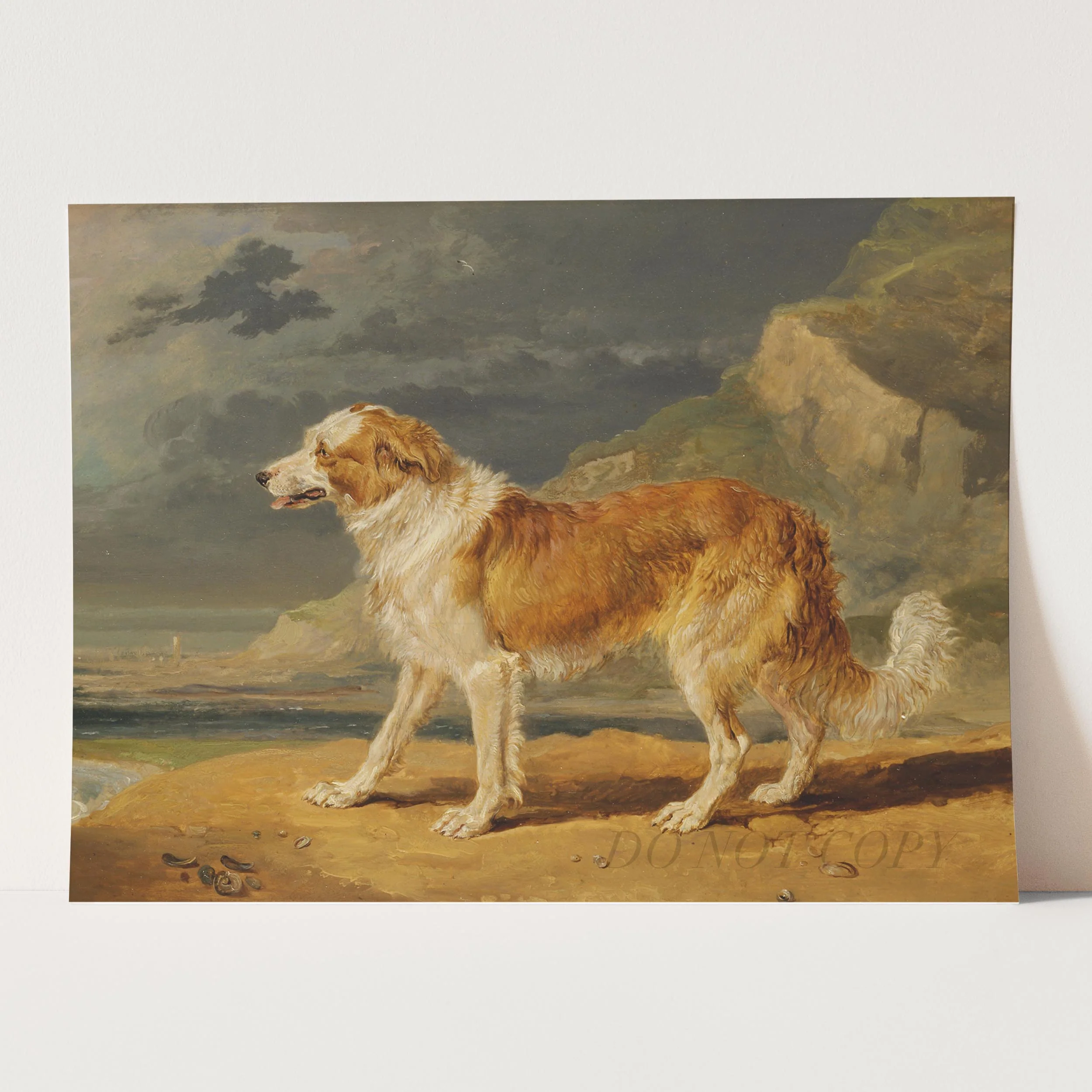 Rough Coated Collie by James Ward, 1809 - Image 3