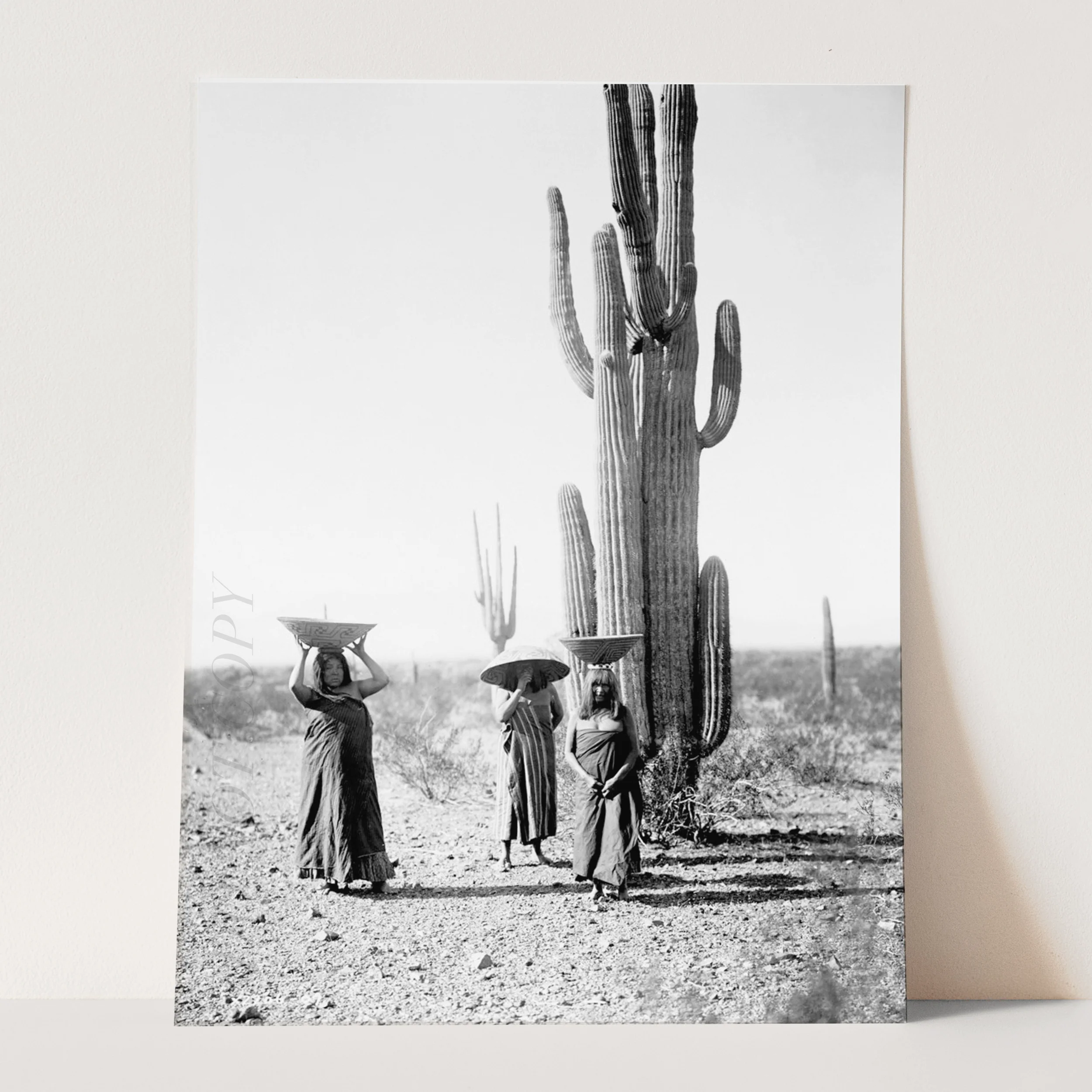 Saguaro Gatherers, Maricopa, Arizona (1907) by Edward Curtis - Image 3