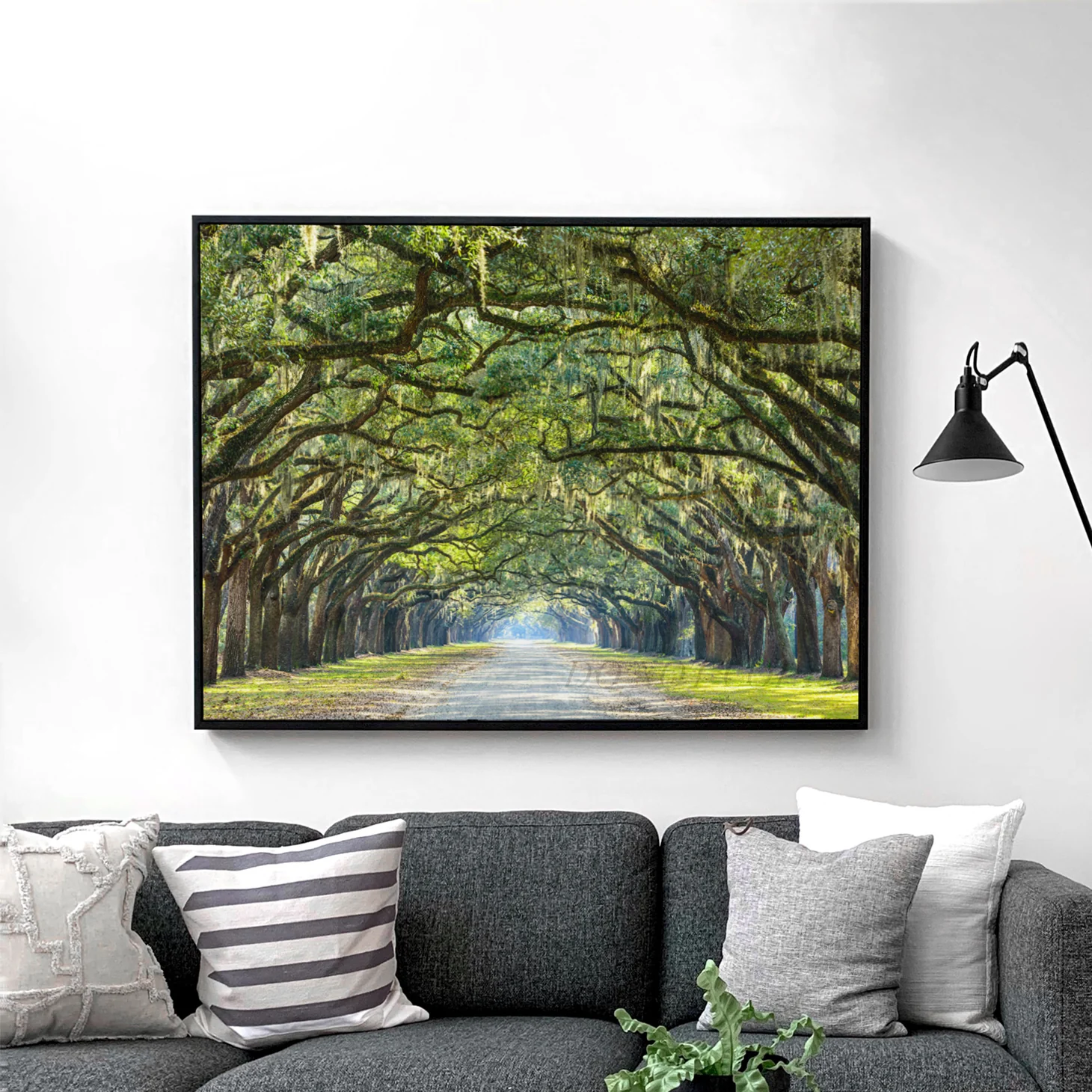 Savannah Georgia Oak Tree Lined Road - Image 2