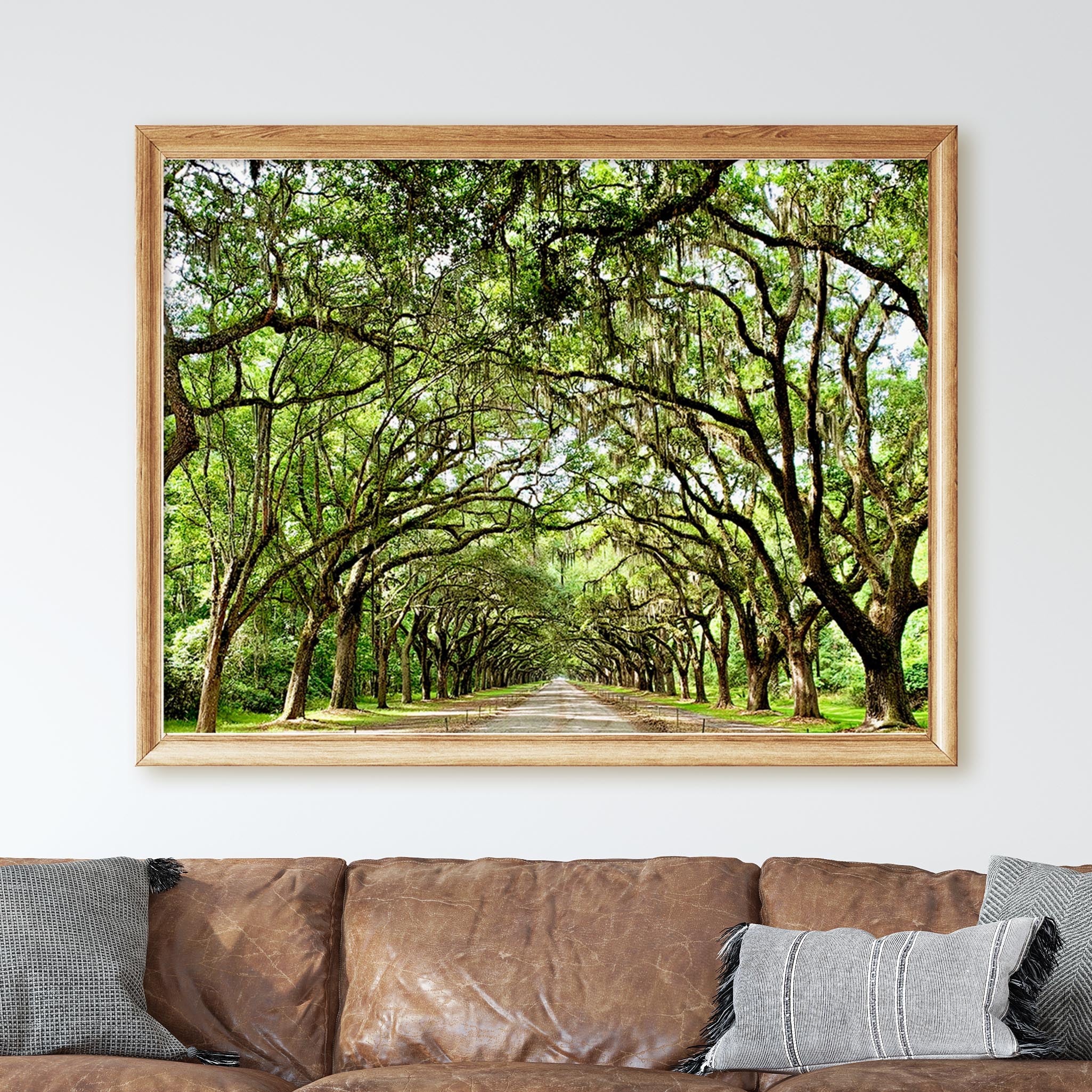 Savannah Georgia Oak Trees - Image 3