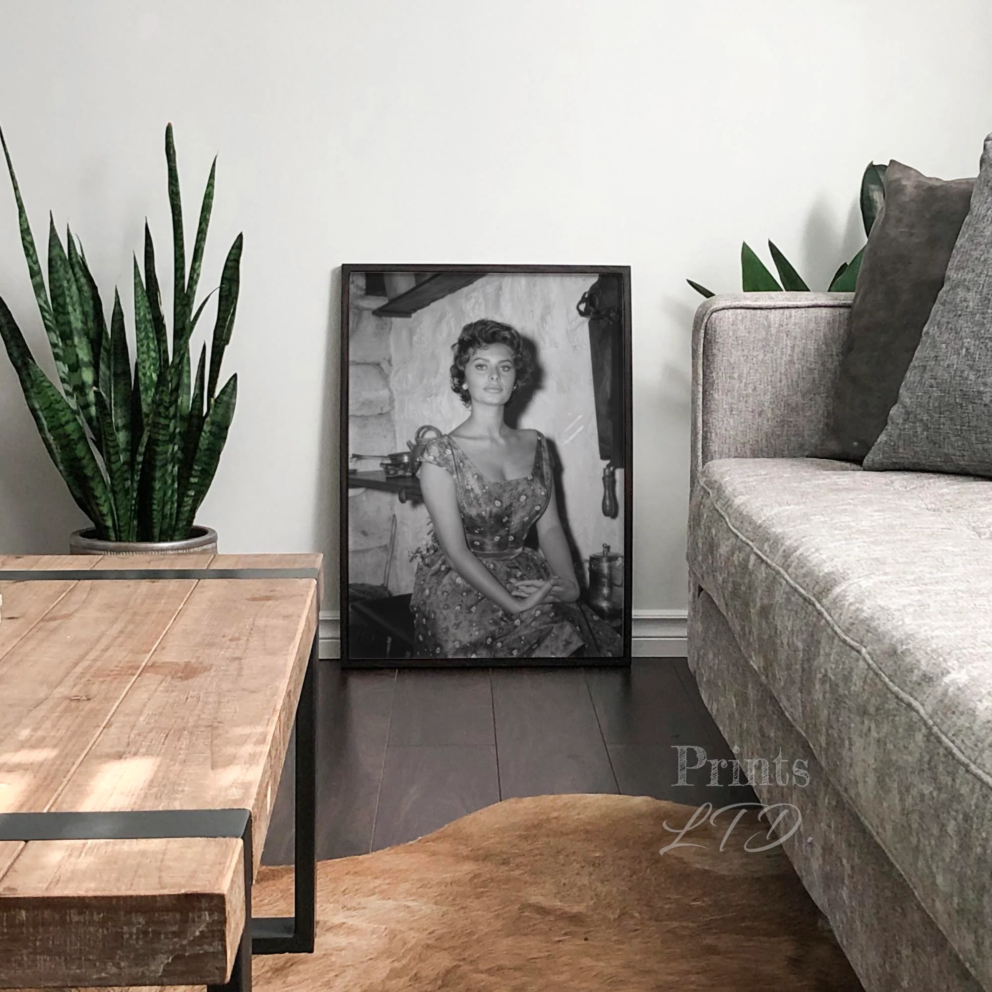 Sophia Loren - Image 3