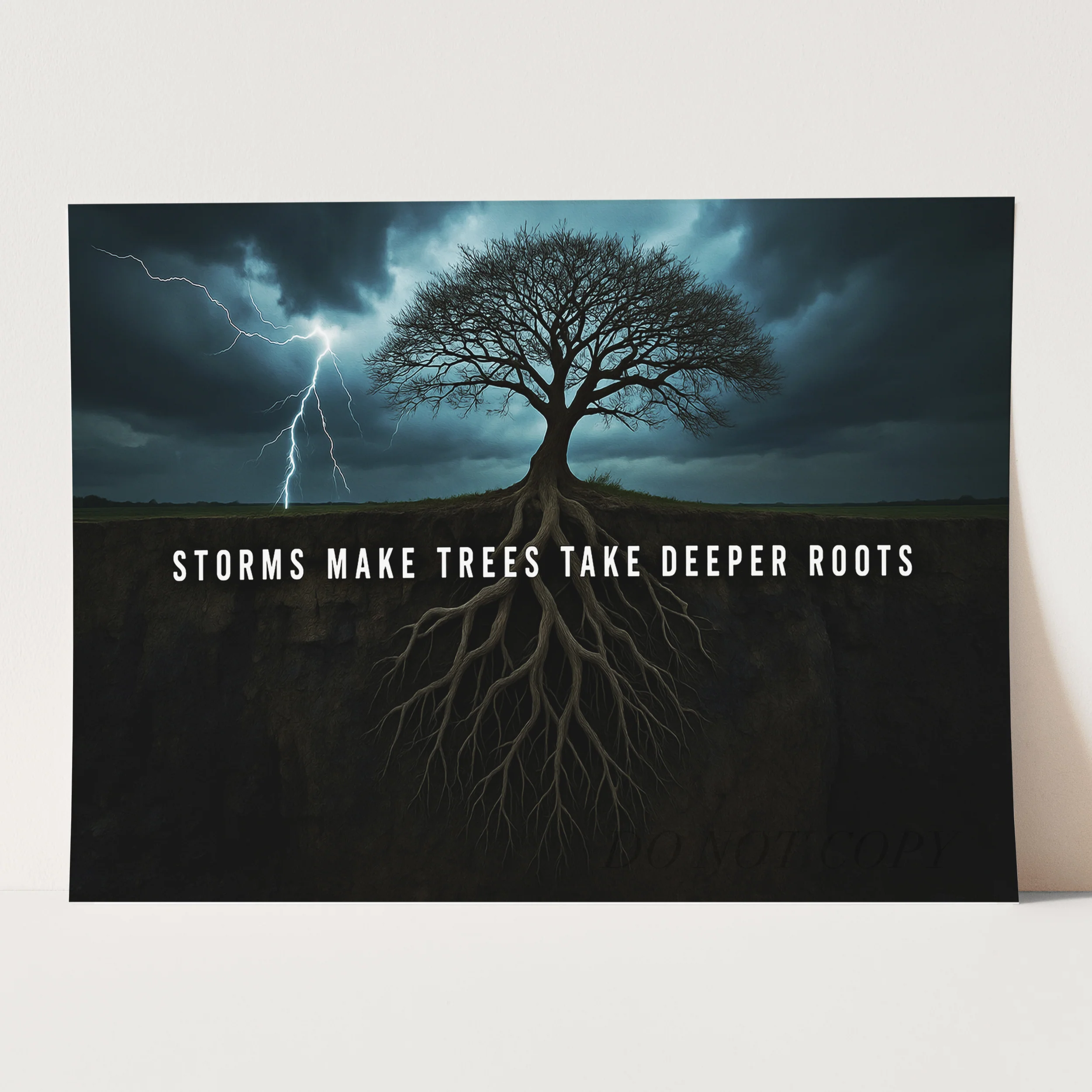 Storms Make Trees Take Deeper Roots - Image 3