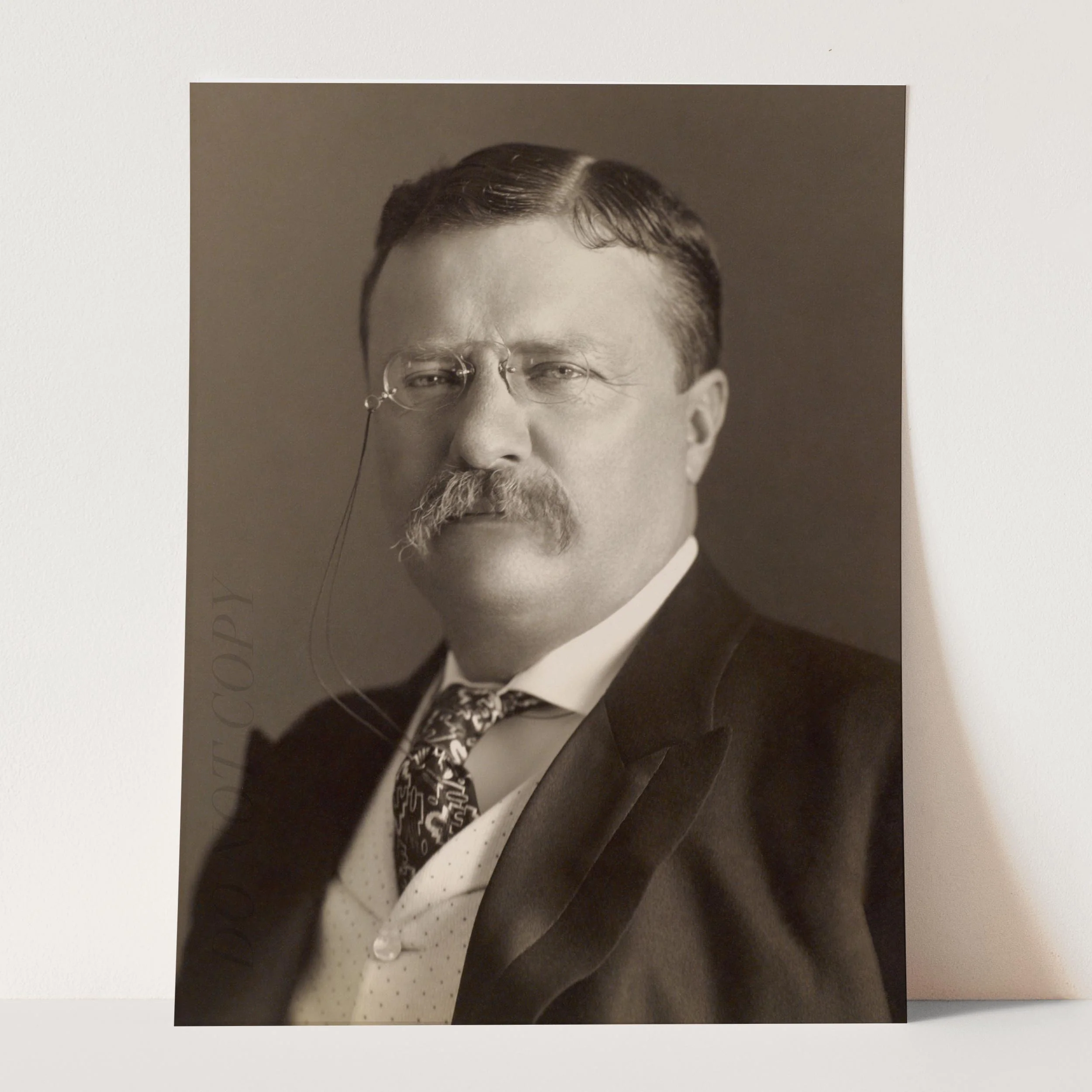 Teddy Roosevelt - Image 3