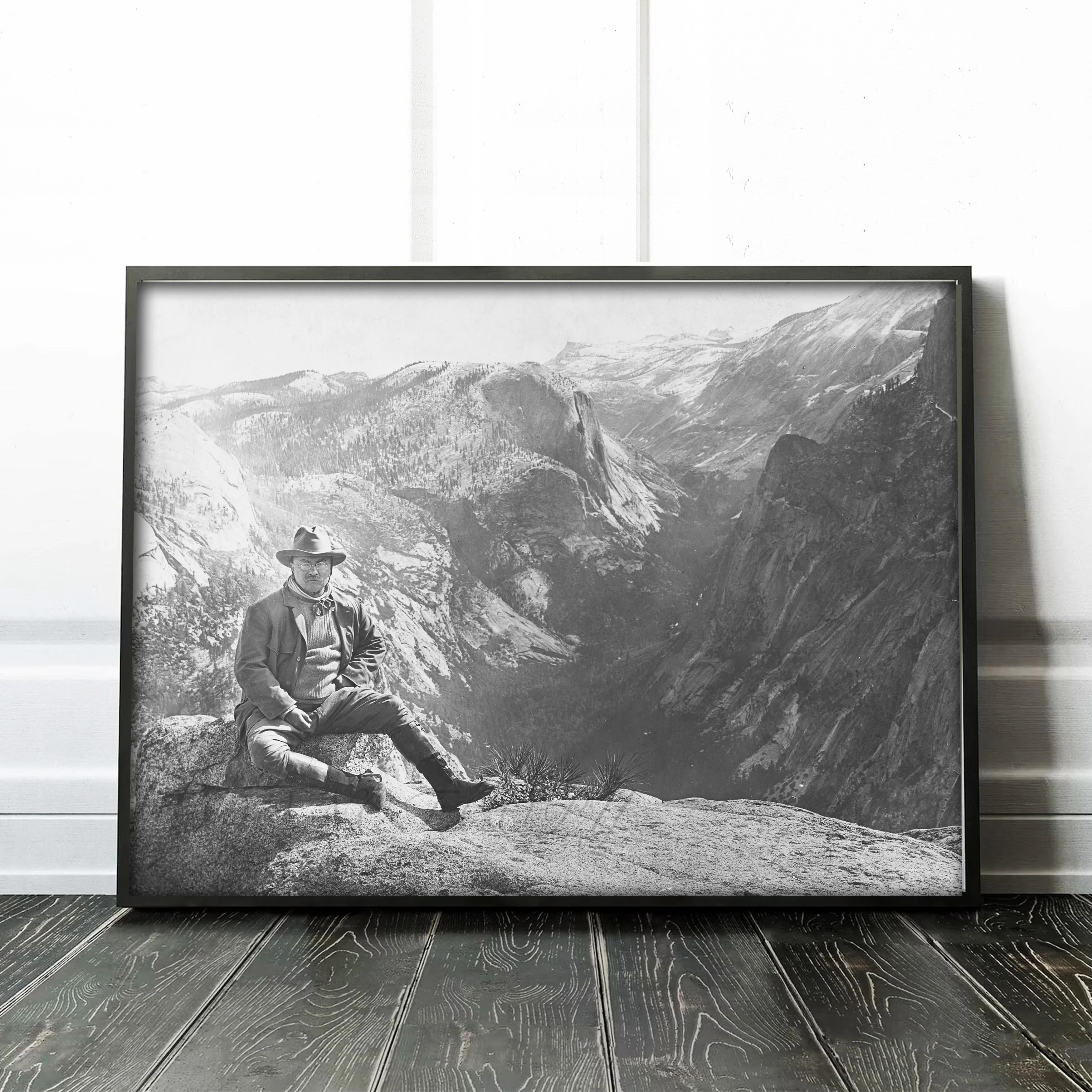 Teddy Roosevelt Glacier Point - Image 2