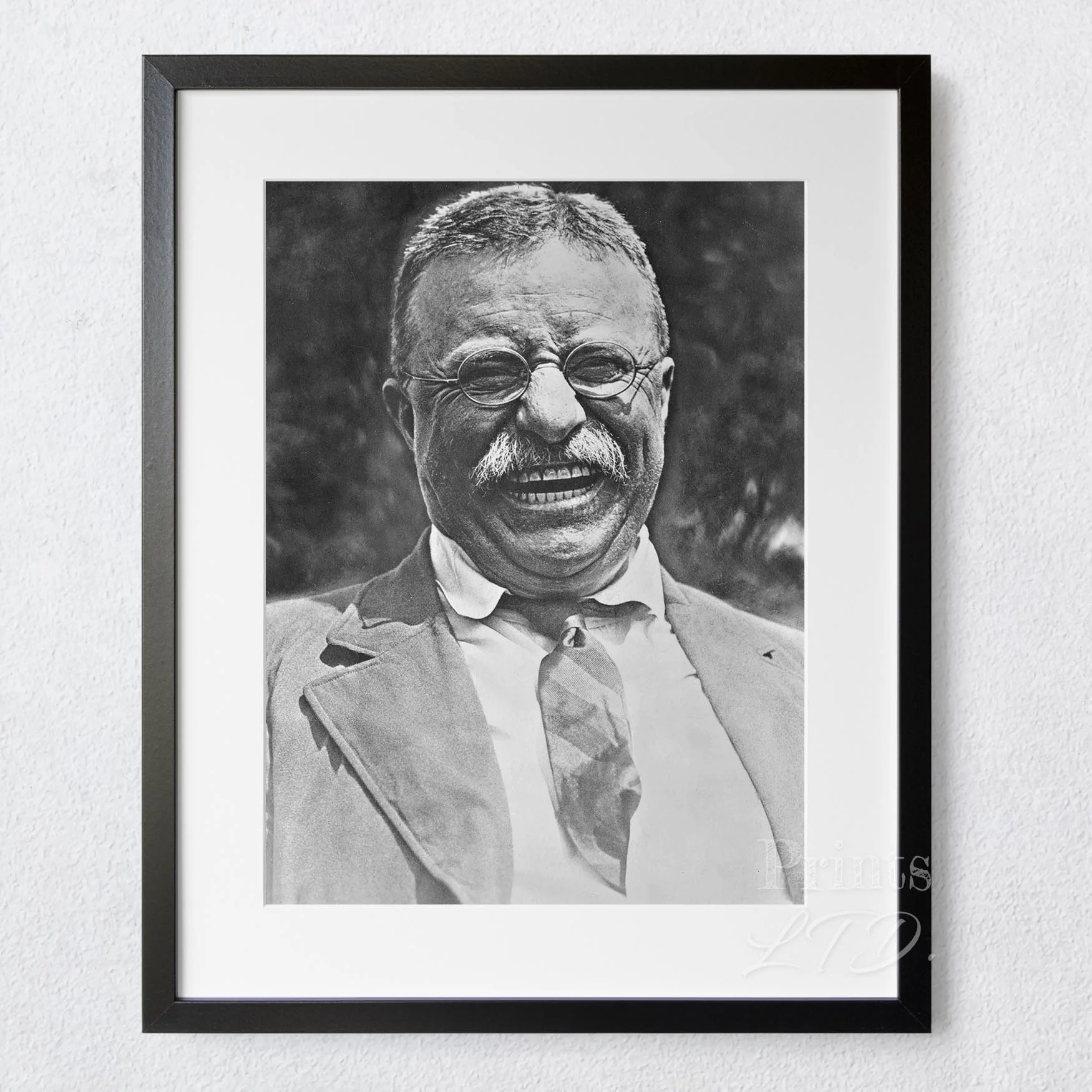 Teddy Roosevelt 1900s - Image 5