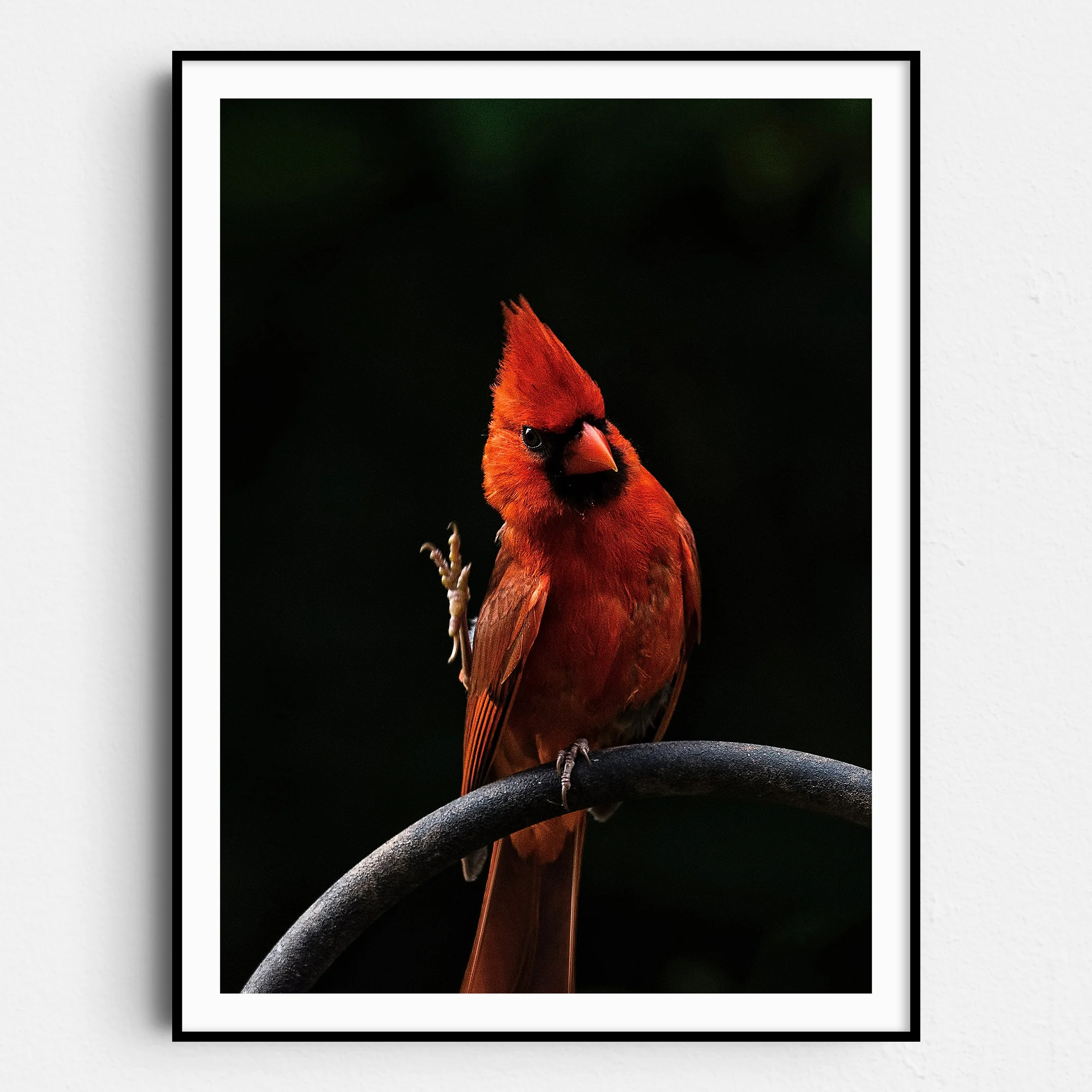 The Cardinal